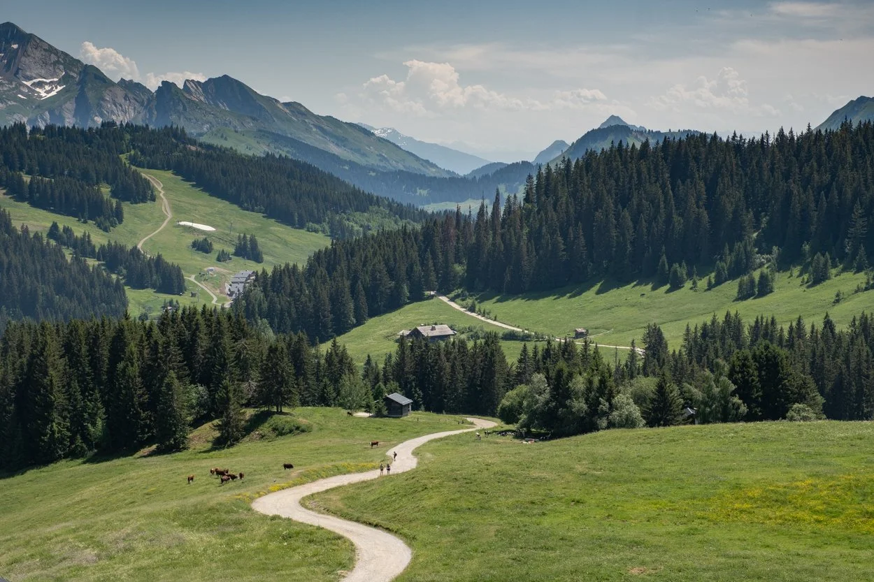 FRANCE-Alps-La-Cluzas-561561.jpg