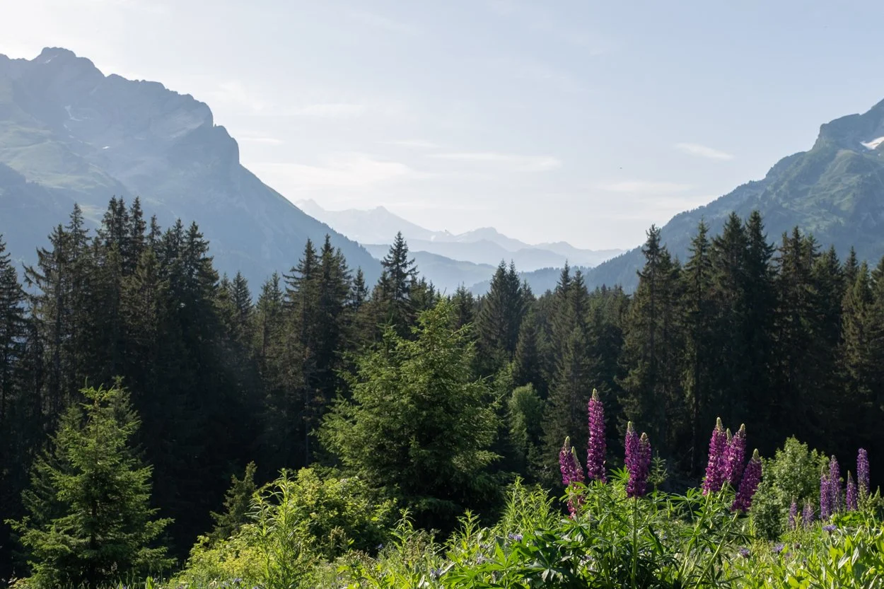 FRANCE-Alps-La-Cluzas-561423.jpg