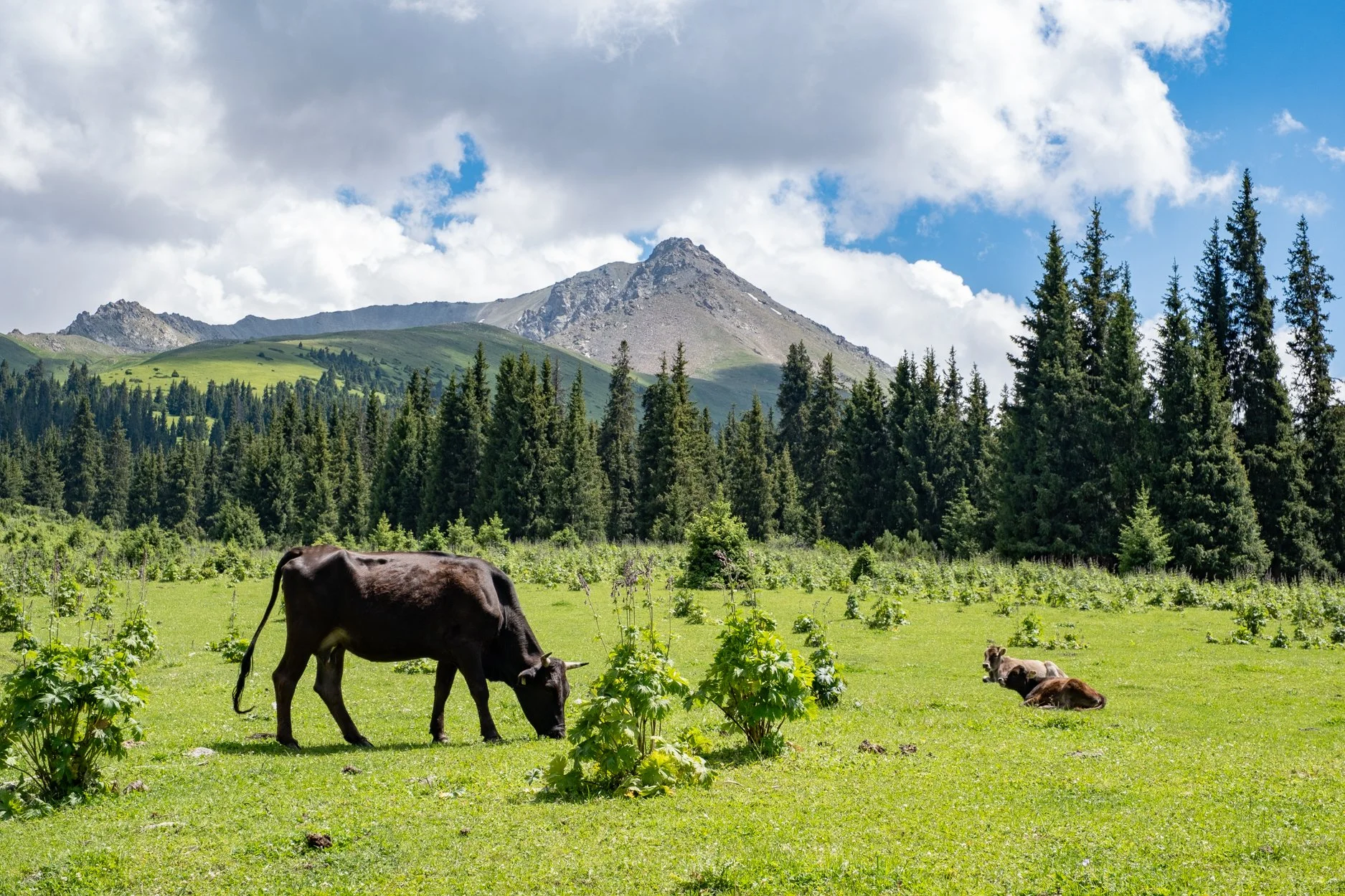 KYRGYZSTAN-Day-2-562623.jpg