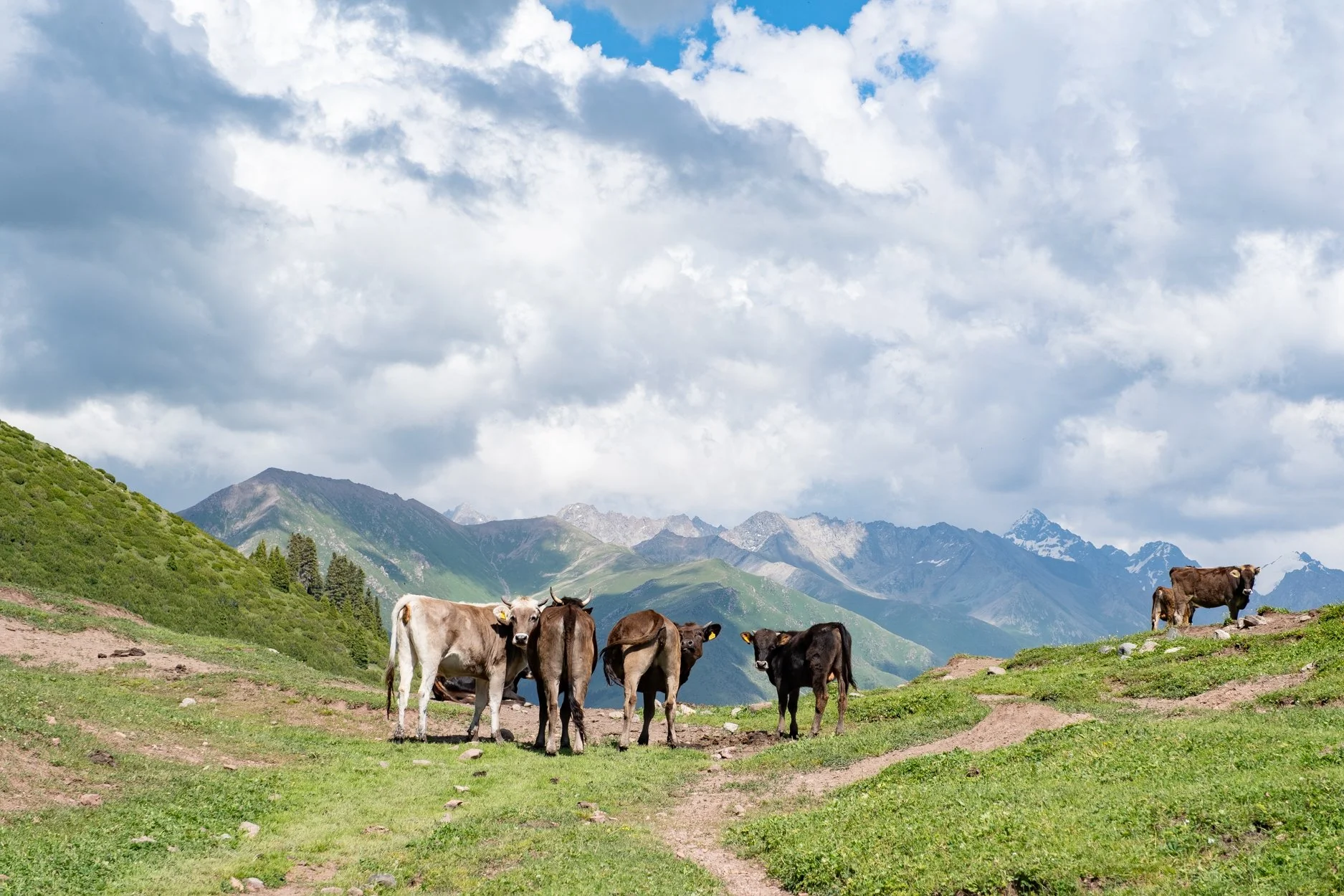 KYRGYZSTAN-Day-2-562648.jpg