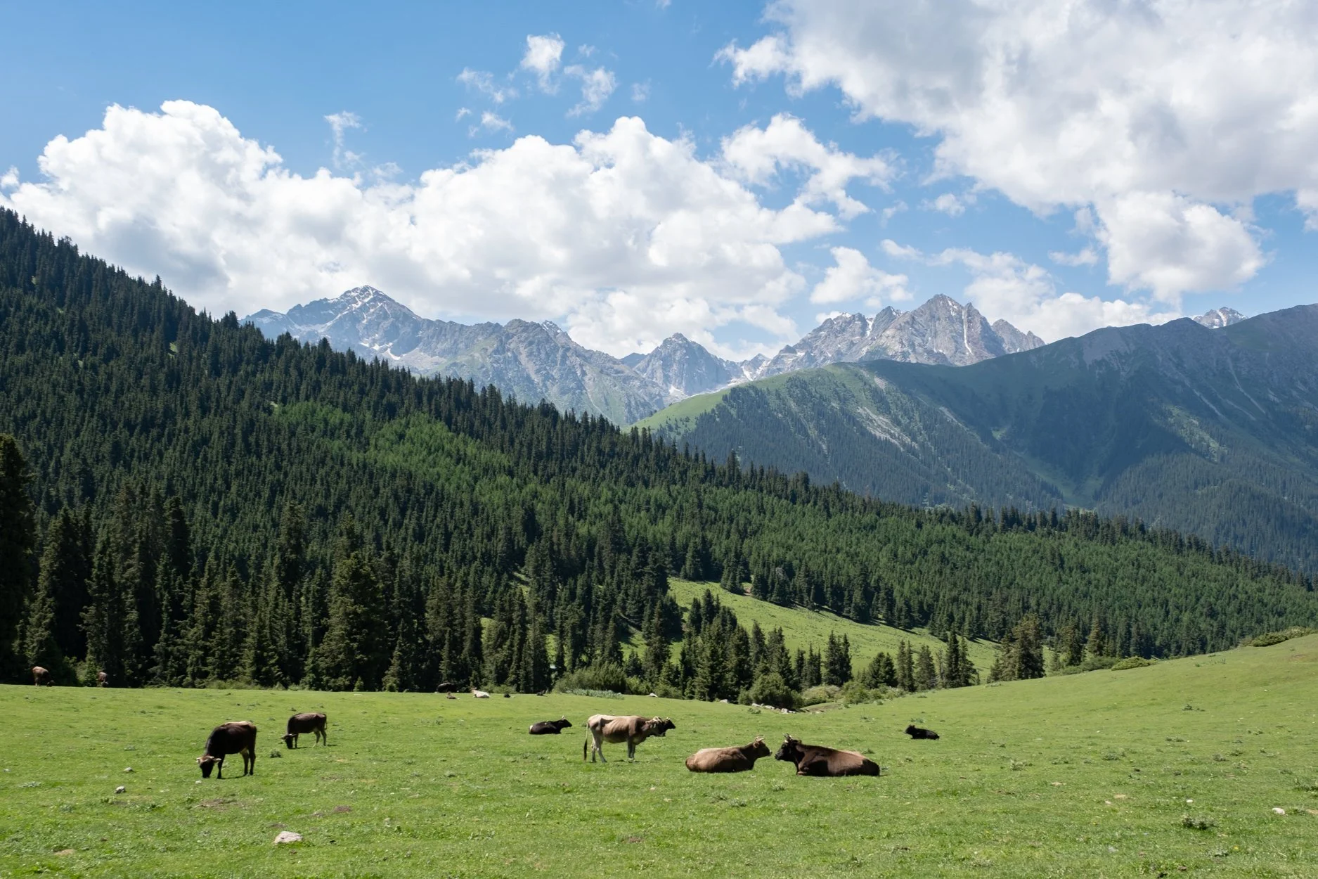 KYRGYZSTAN-Day-3-562879.jpg