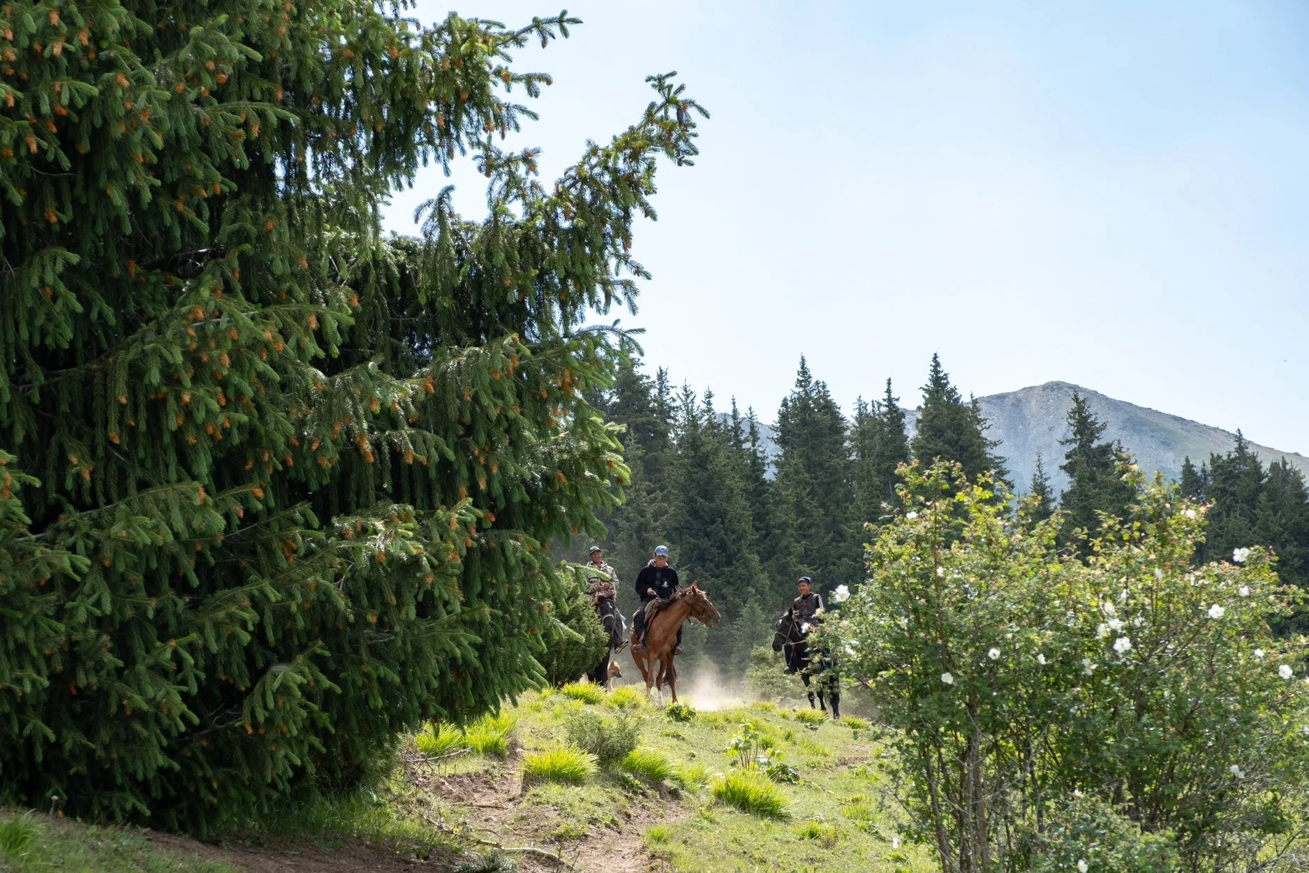 KYRGYZSTAN-Day-4-563118.jpg