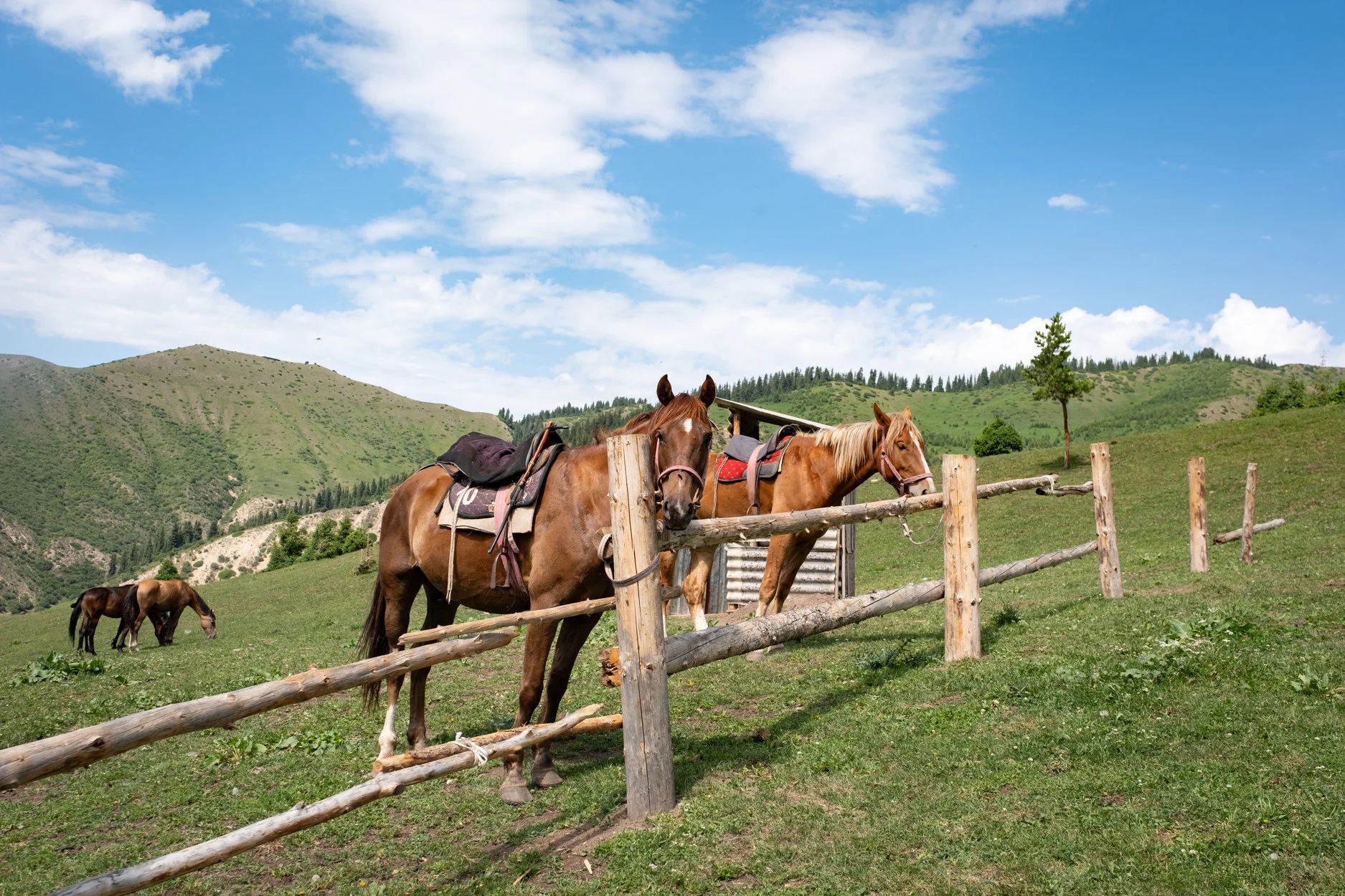 KYRGYZSTAN-Day-4-563216.jpg