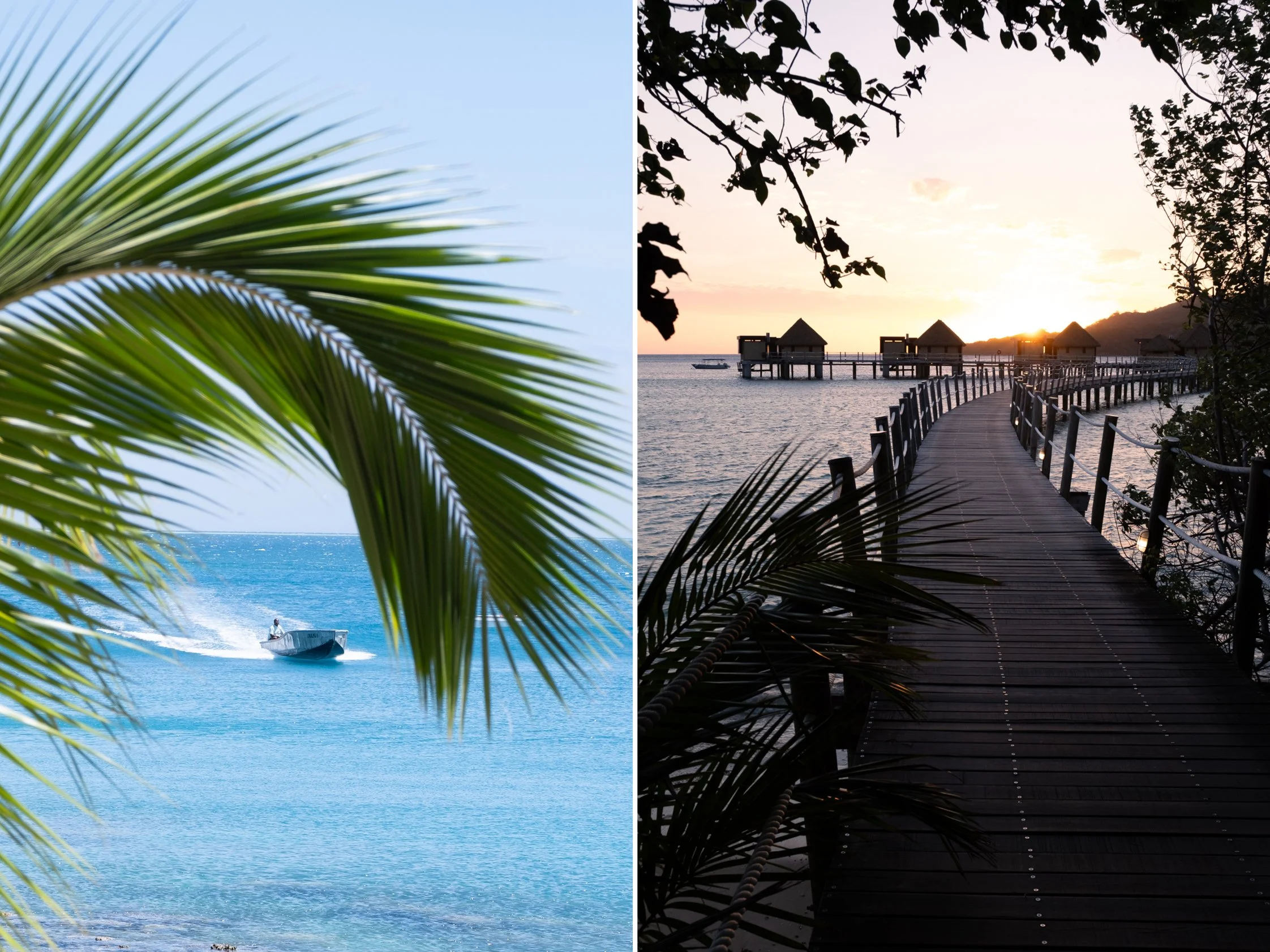 Fiji3.jpg