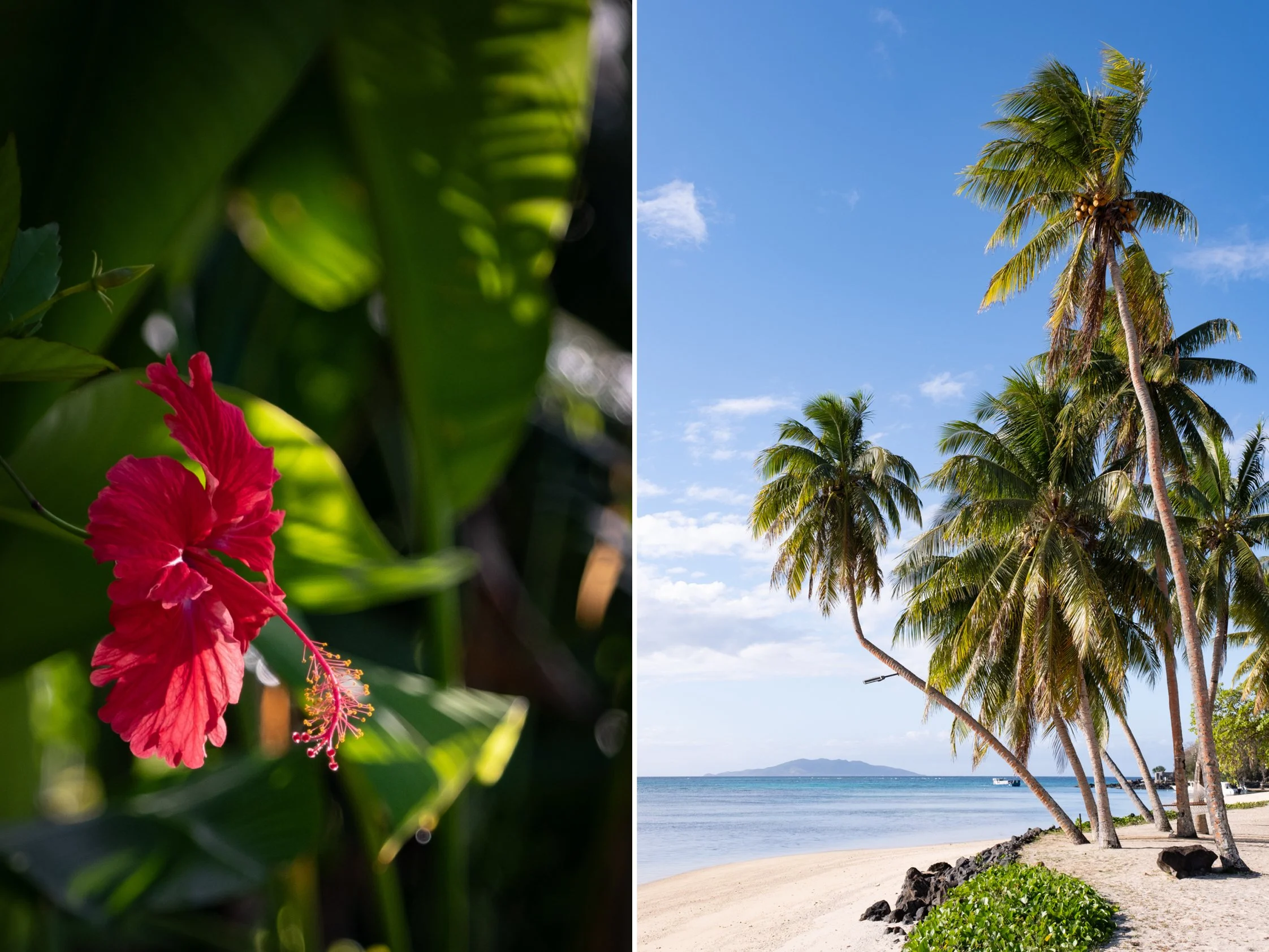 Fiji12.jpg