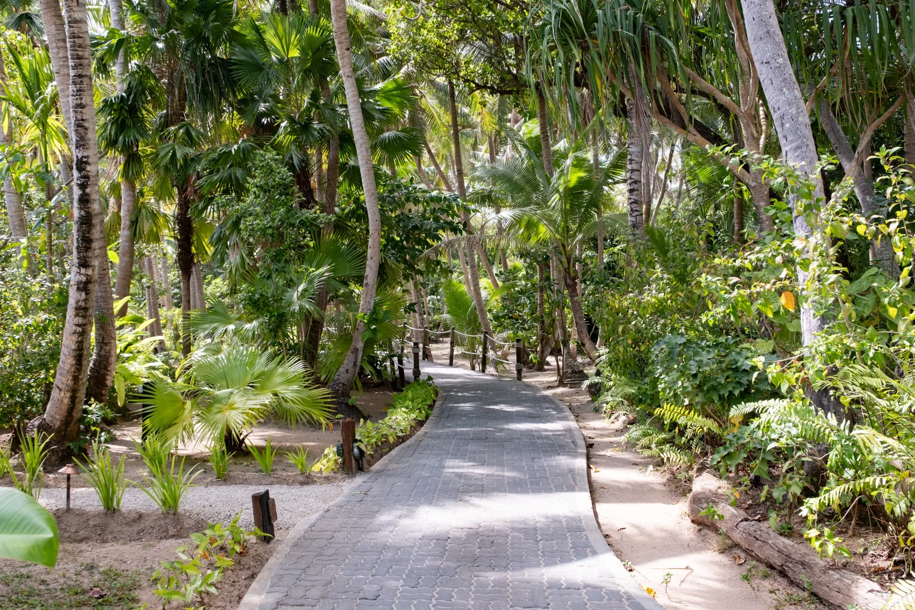 FIJI-Liku-Liku-563577.jpg