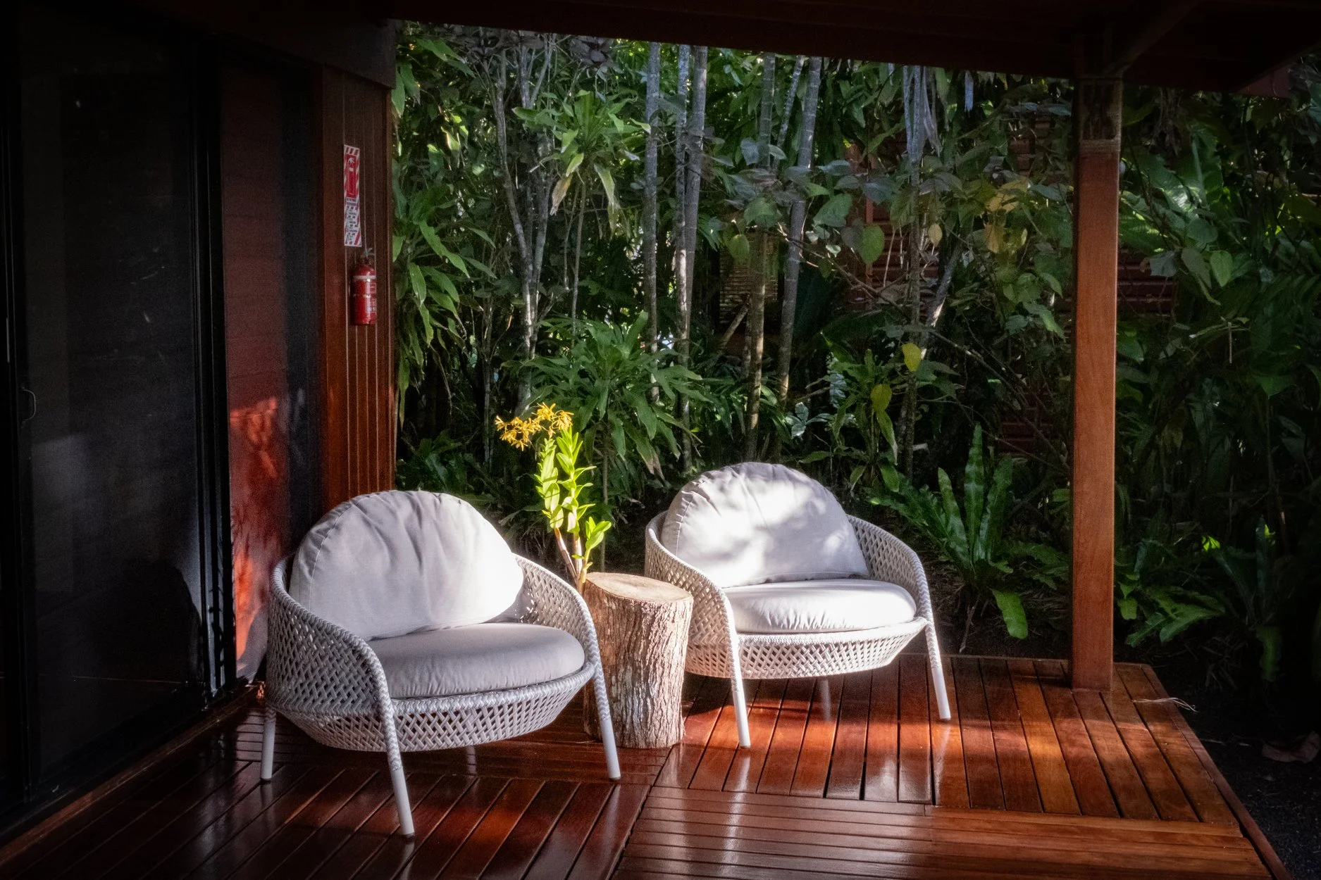 FIJI-564281.jpg