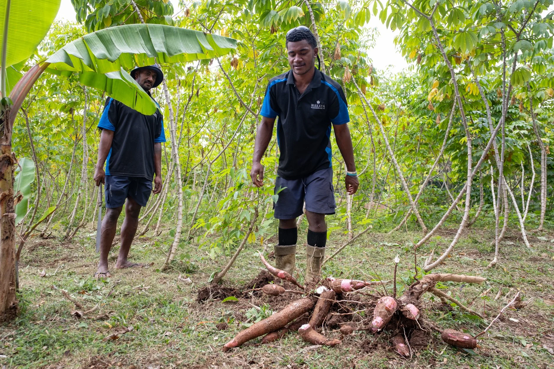 FIJI-Wakaya-564396.jpg