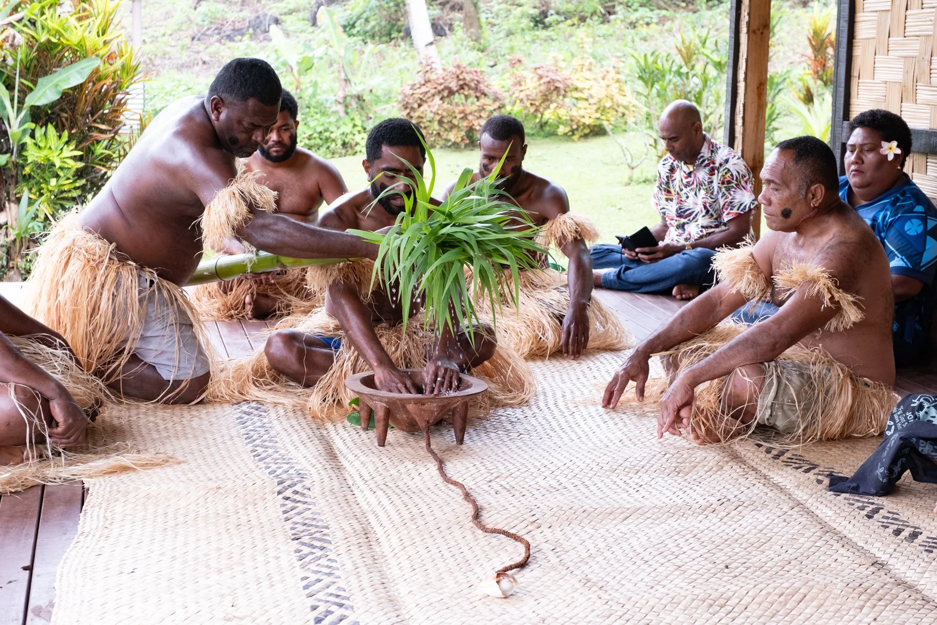 FIJI-Maniavatu-wwaterfall-563864.jpg