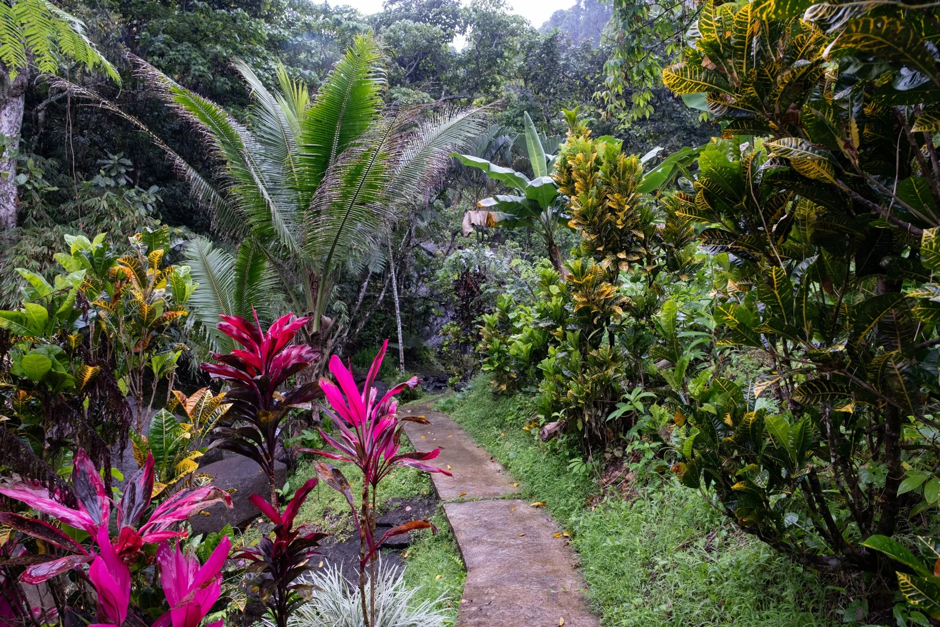 FIJI-Maniavatu-wwaterfall-563947.jpg