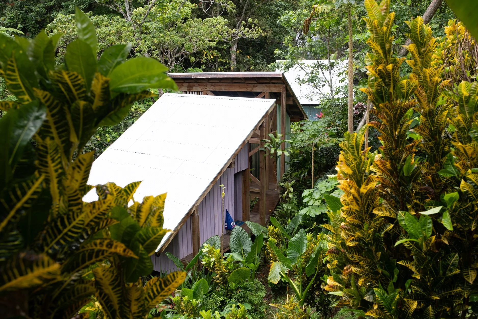 FIJI-Maniavatu-wwaterfall-563951.jpg