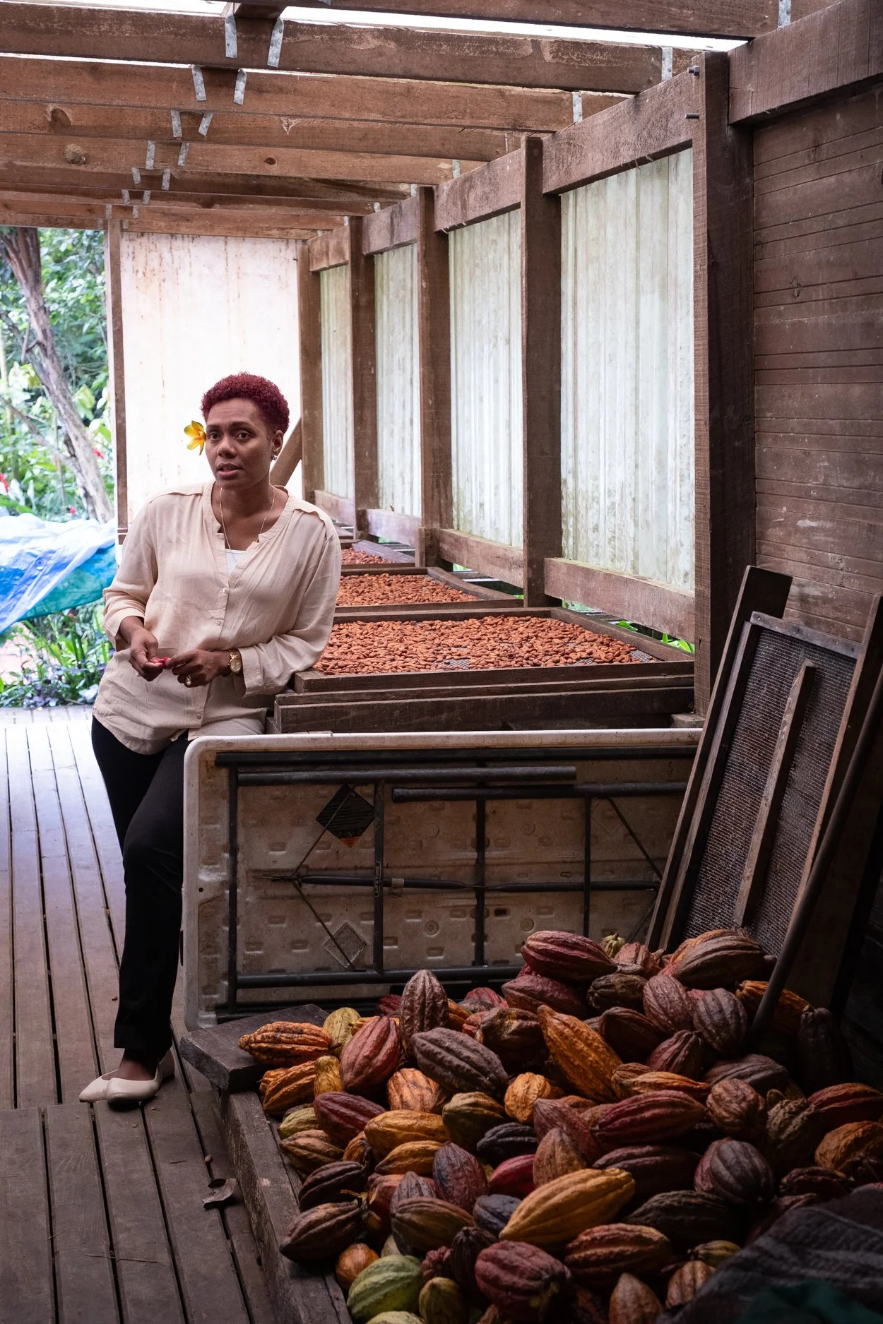 FIJI-Cocoa-Mana-564035.jpg