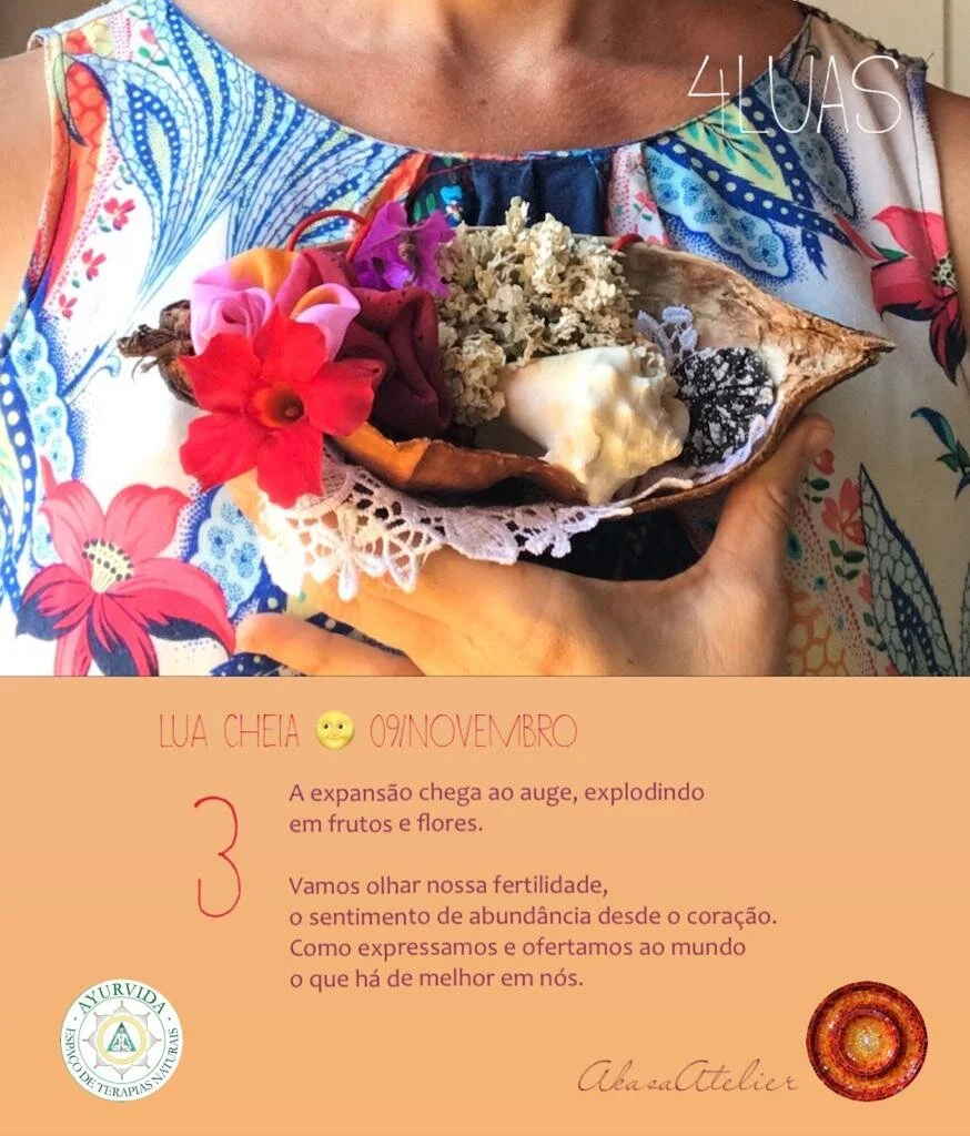 Oficina 4Luas - cartaz modulo2