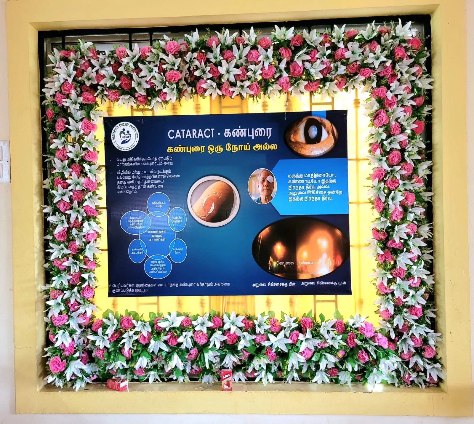 nswf-eyecamp4.jpeg