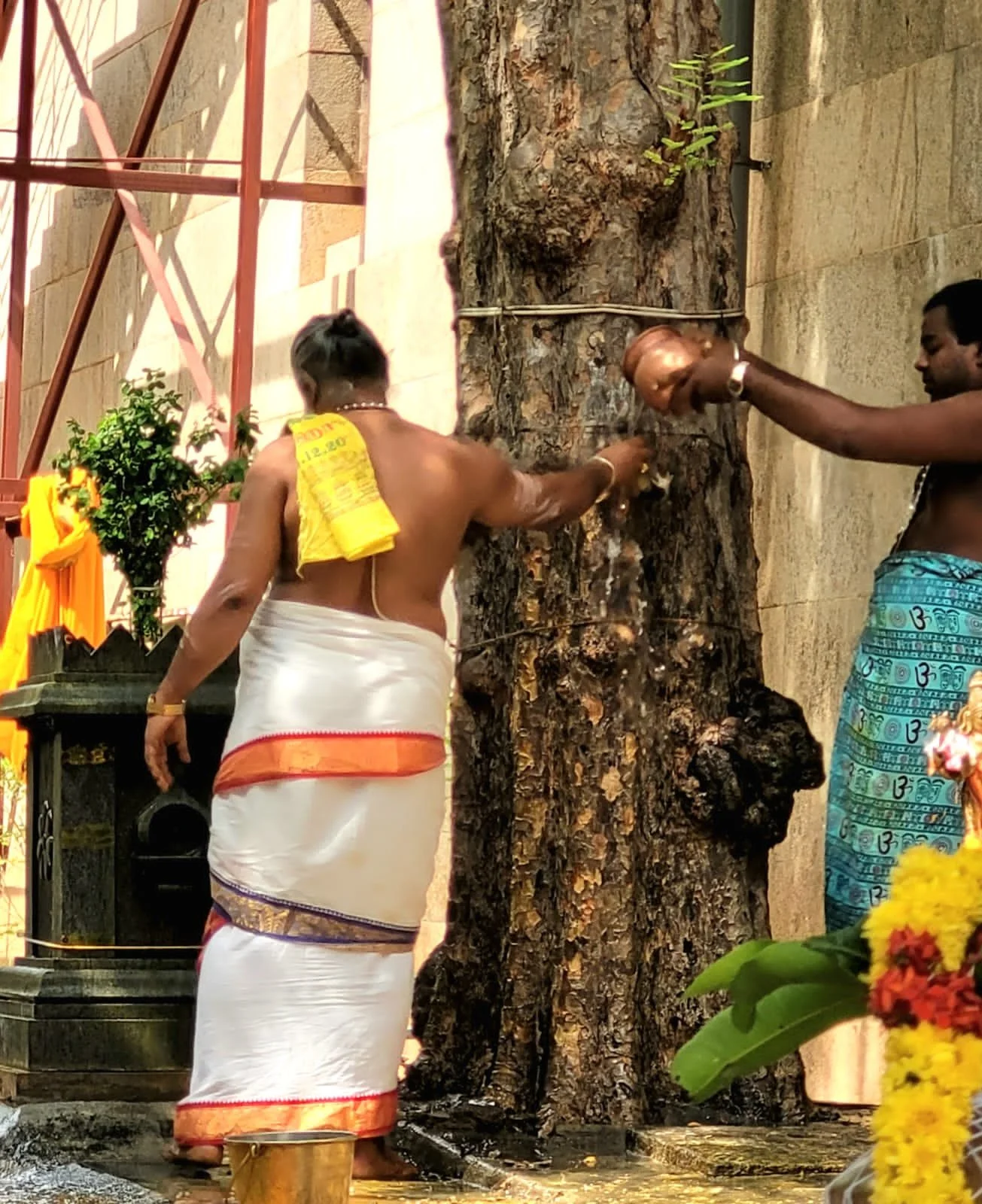 nellimaram-kalyanam-2022-7.jpeg