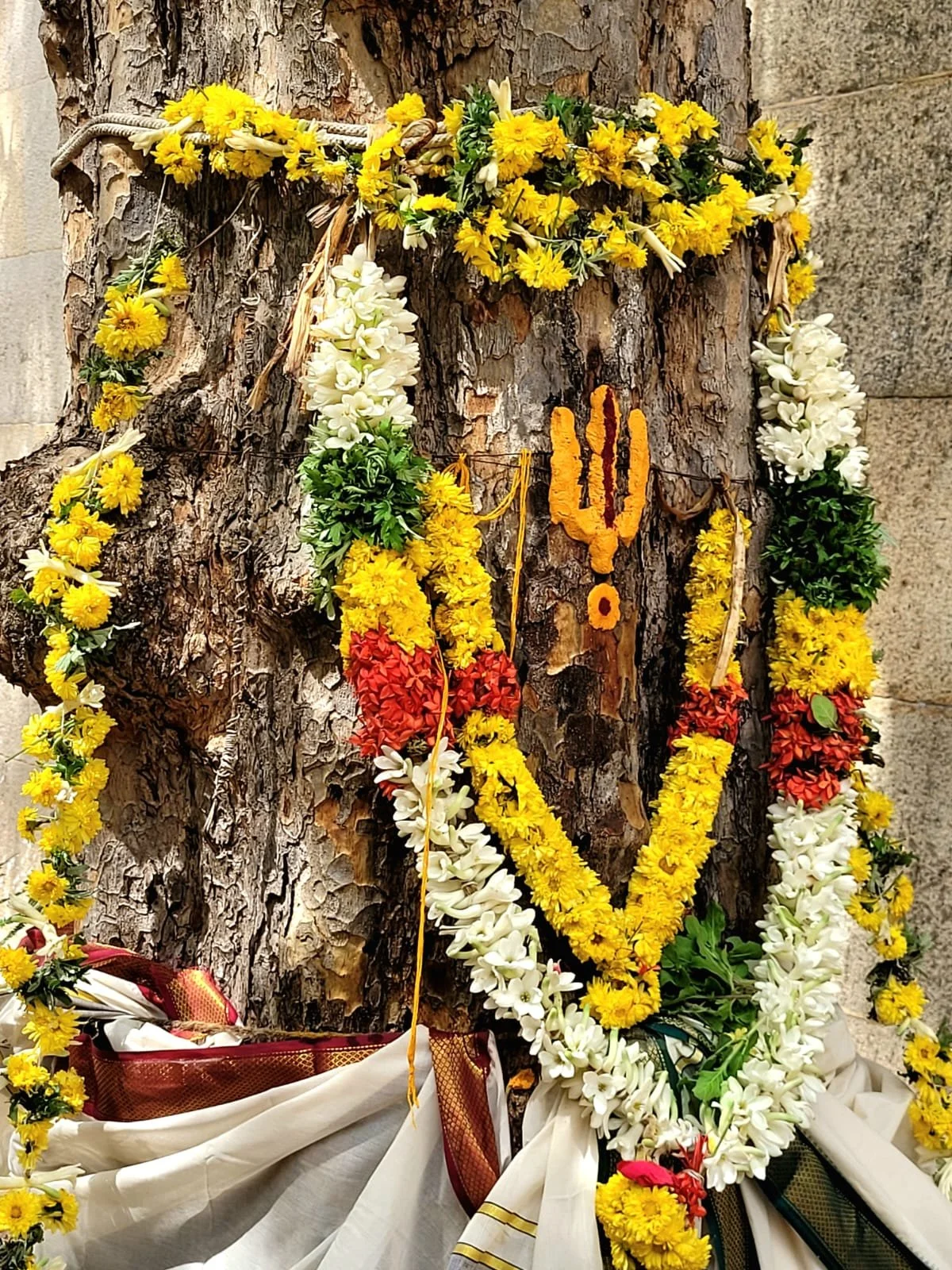 nellimaram-kalyanam-2022-11.jpeg