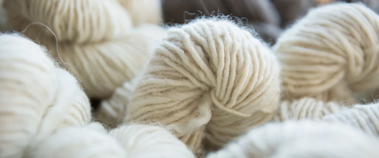 paigegreenFibershed10202015-034-1270x530px.jpg