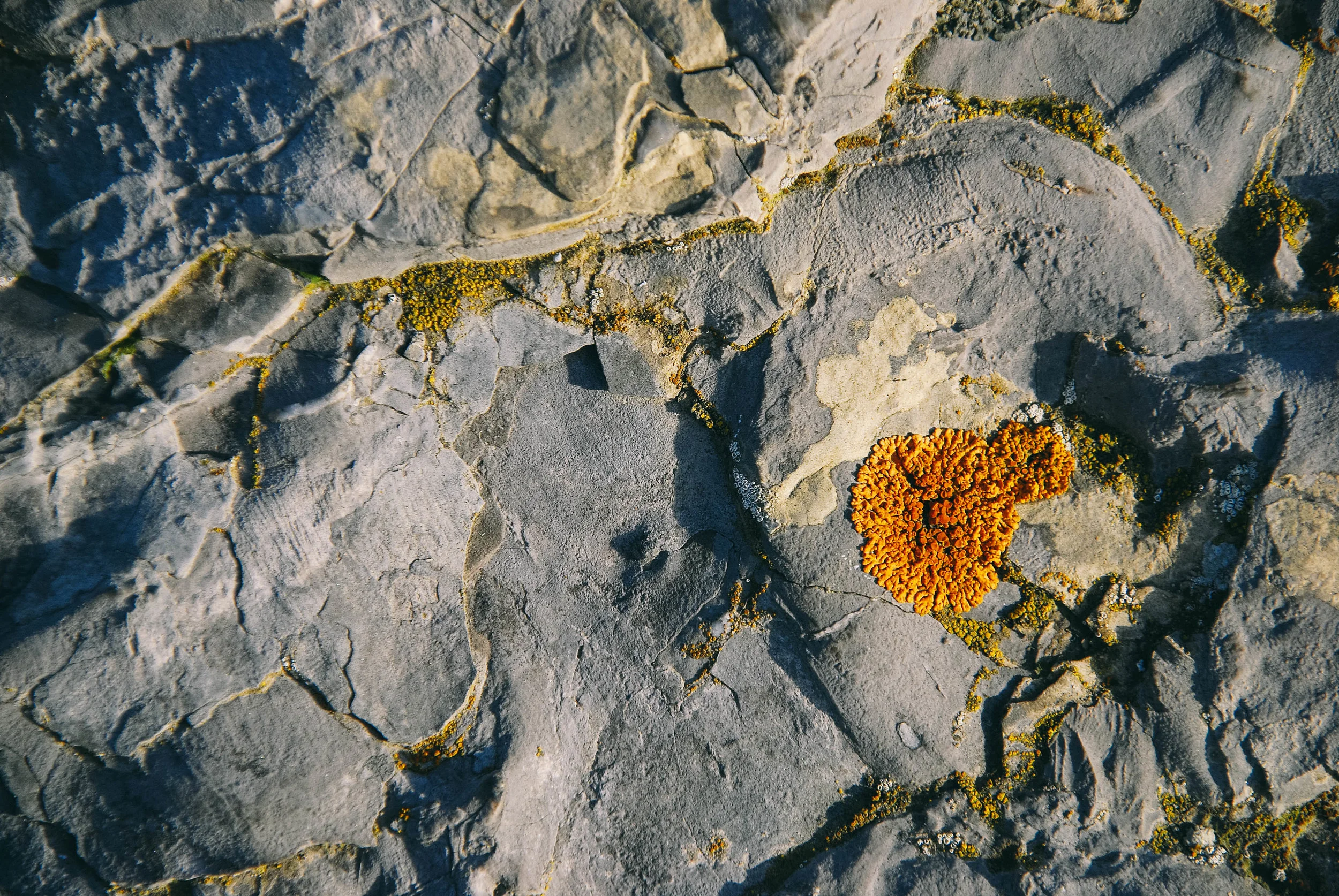 stone-932839 copy.jpg