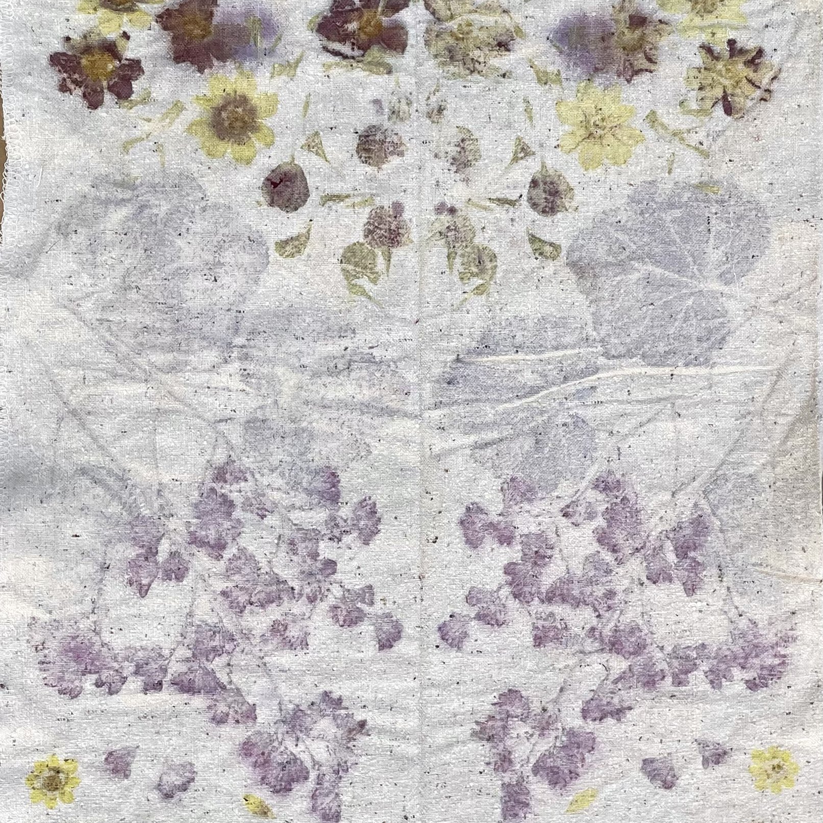 ECO PRINT 1.jpg