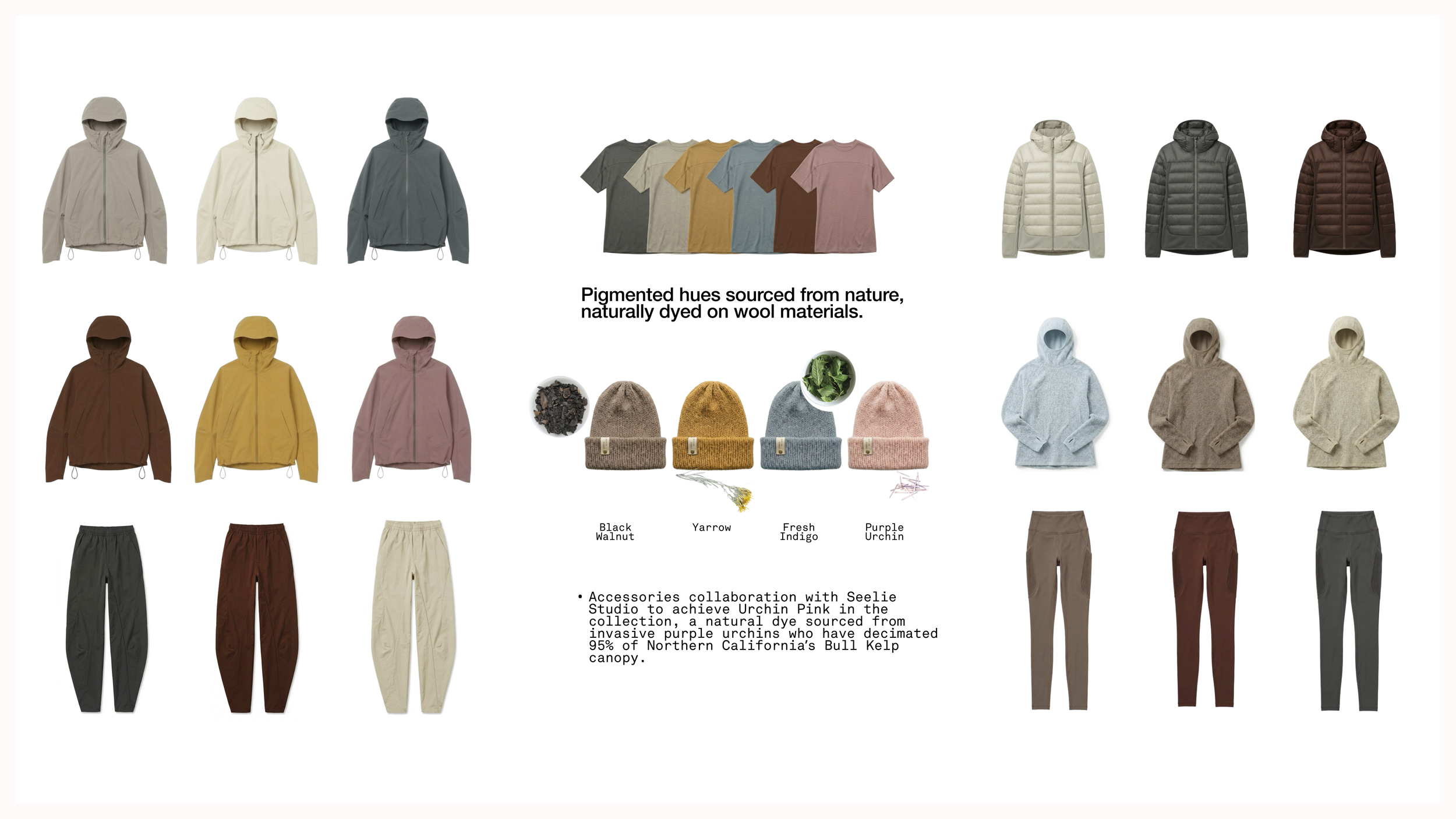 Lost Coast_merch.png