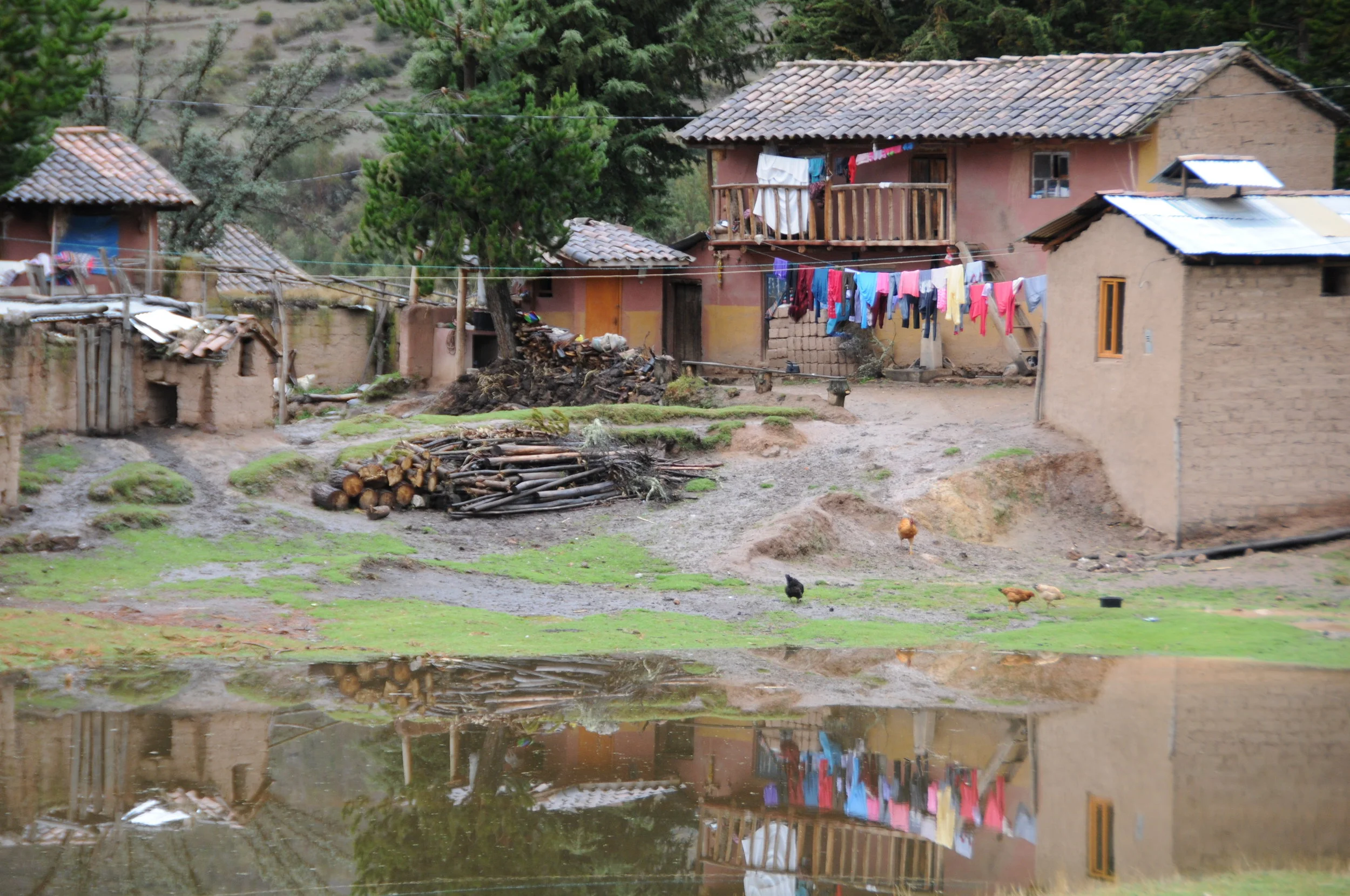 Copy of DSC_8254.JPG