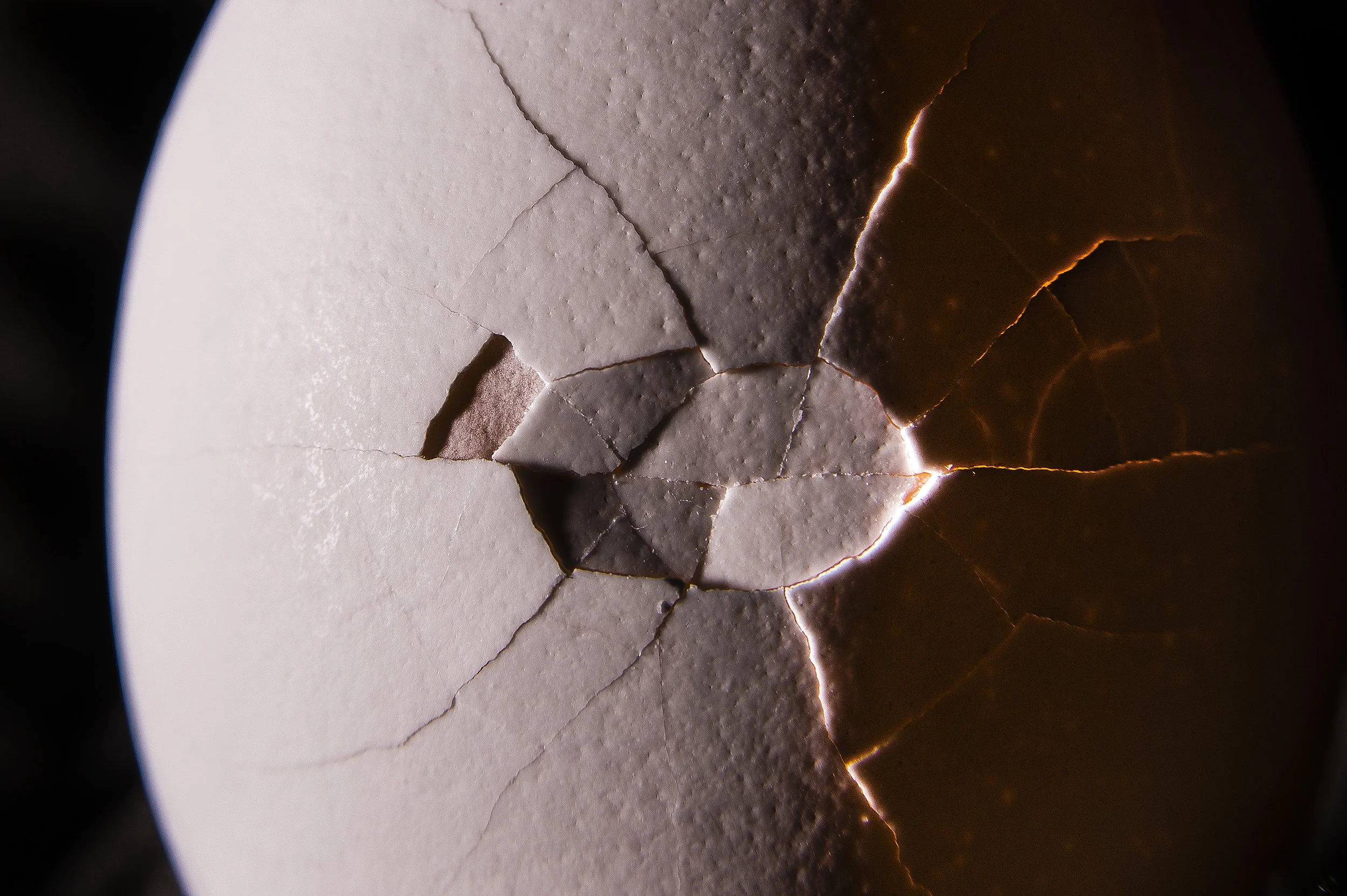 You gotta break a few eggs