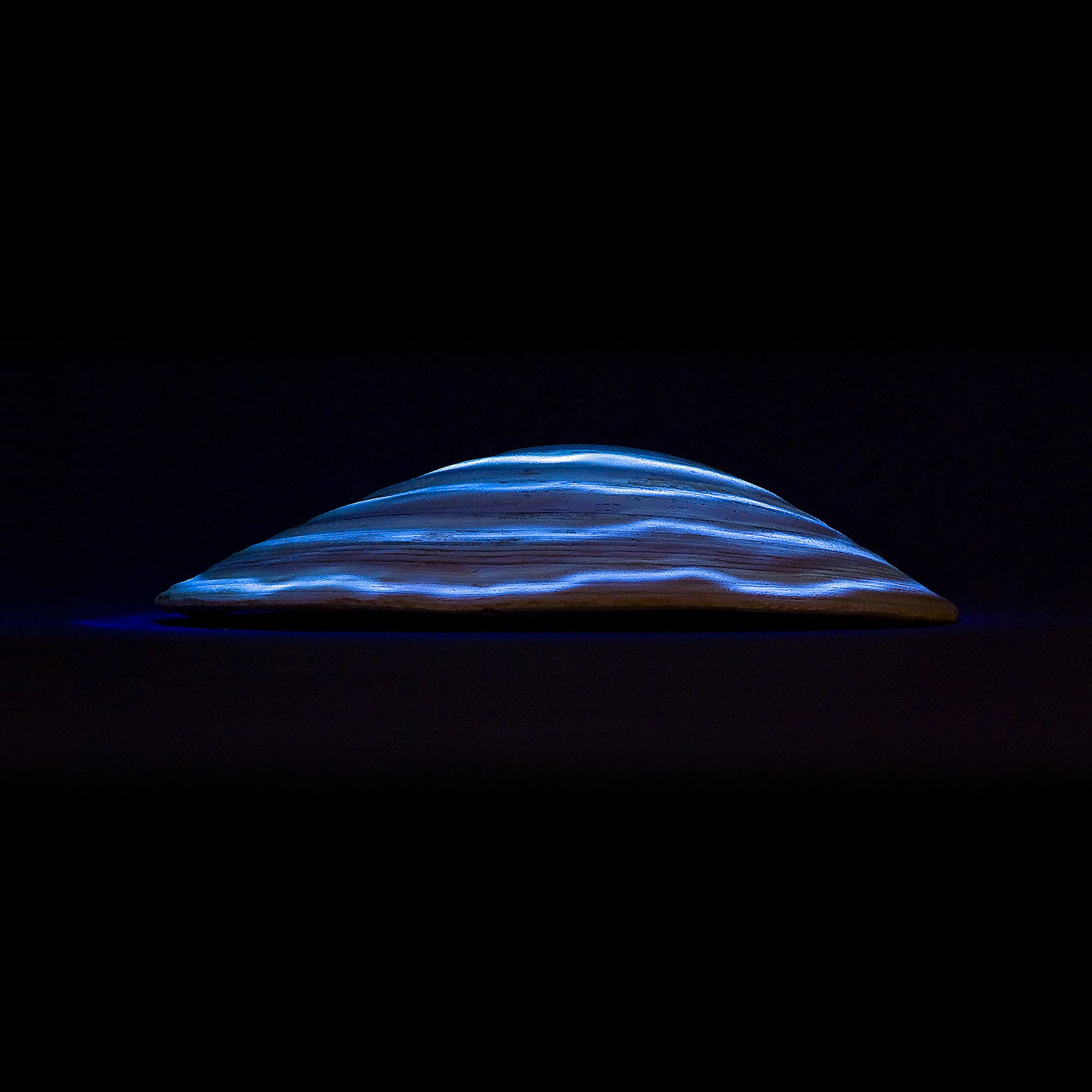 Saucer