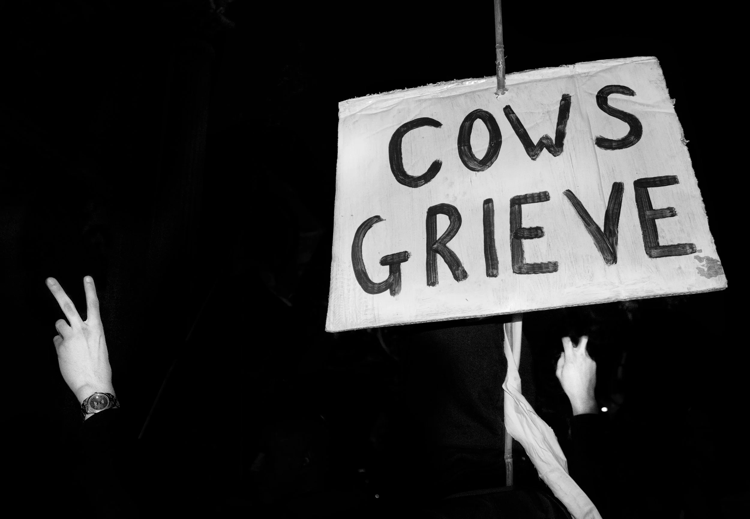 Angela Christofilou_XR protests bridges takeover 2019_010.jpg