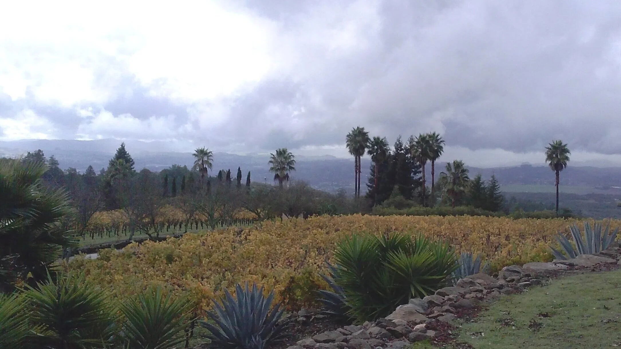 CAM01095.jpg