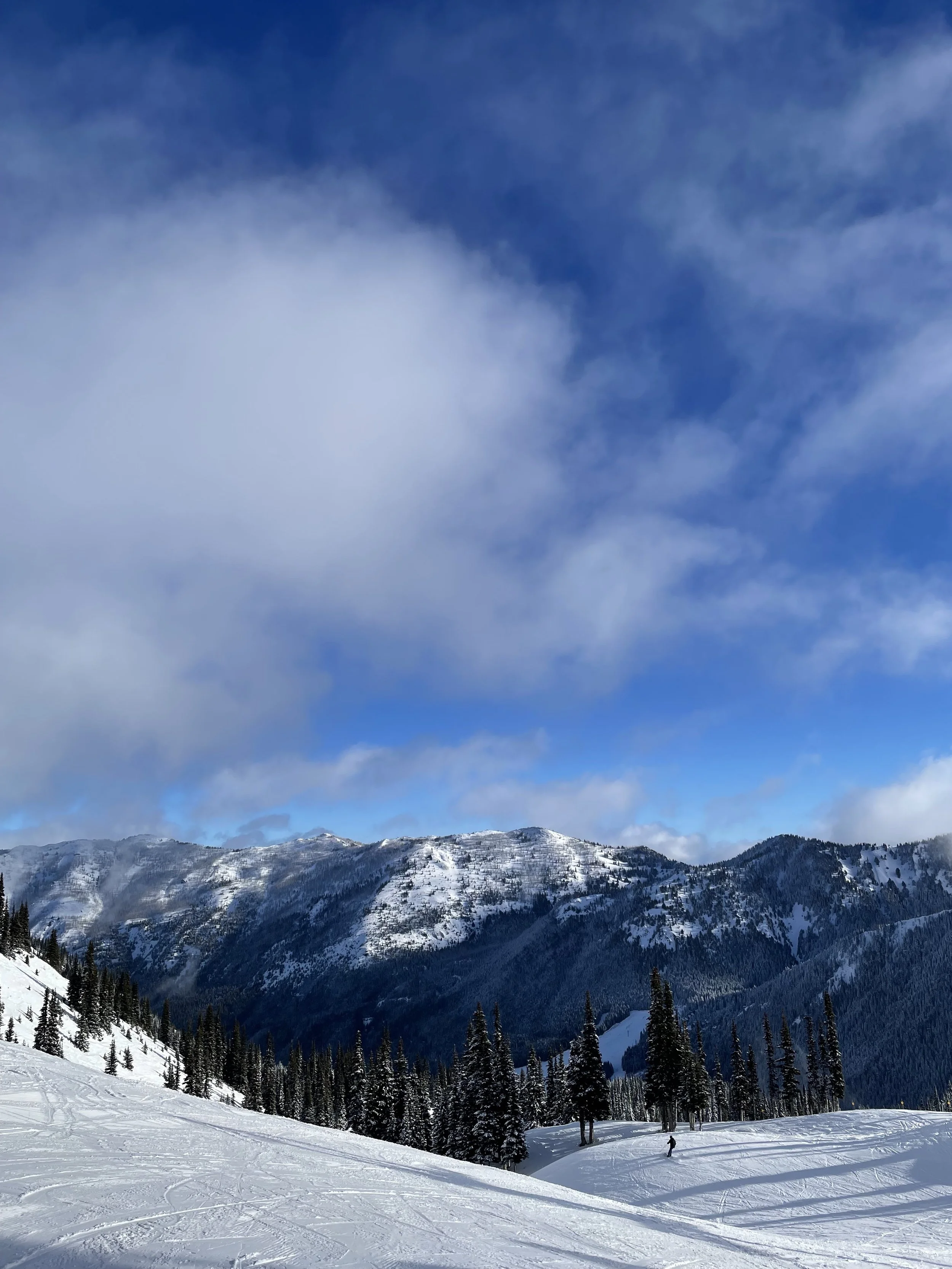 Observations on a Powder day