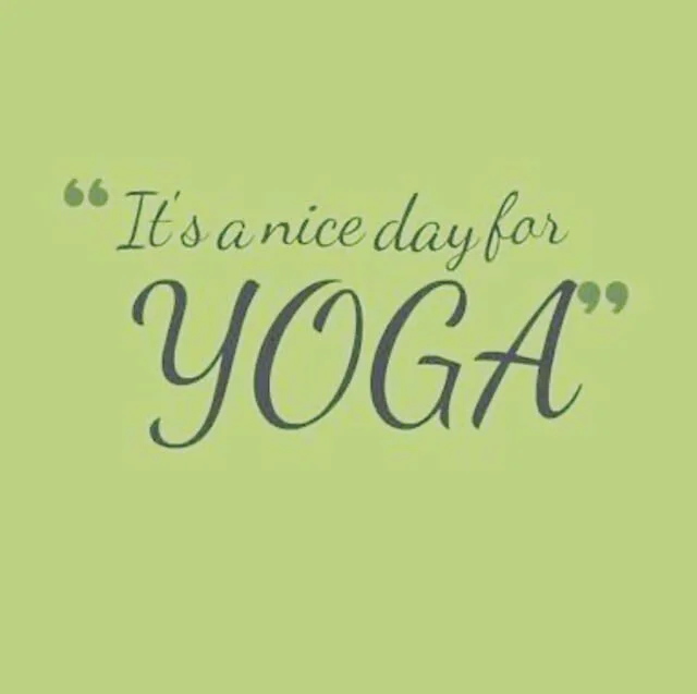 Mondays at our studio are awesome- 6am original hot yoga with Shirley, 9am with Leanna, 12 noon Pilates with Melissa, and next three with Carol ...5pm yin, 6:30pm original hot yoga 65, and 8pm advanced silent! Get to class! 🧘&zwj;♀️💪💦🥰
.
.
#hotyo
