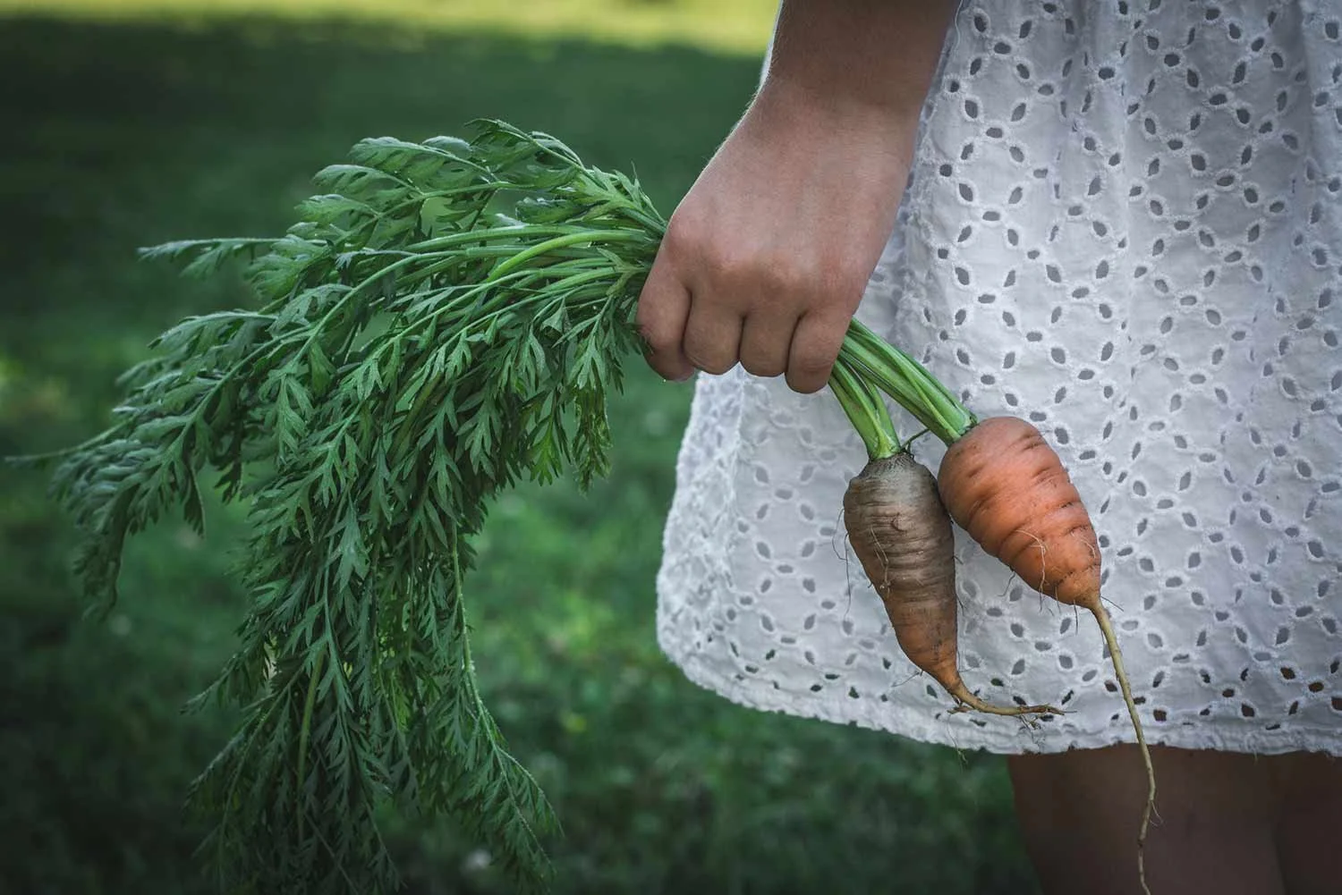 RS restorative+kitchen-+carrots+(double+page+spread).jpg