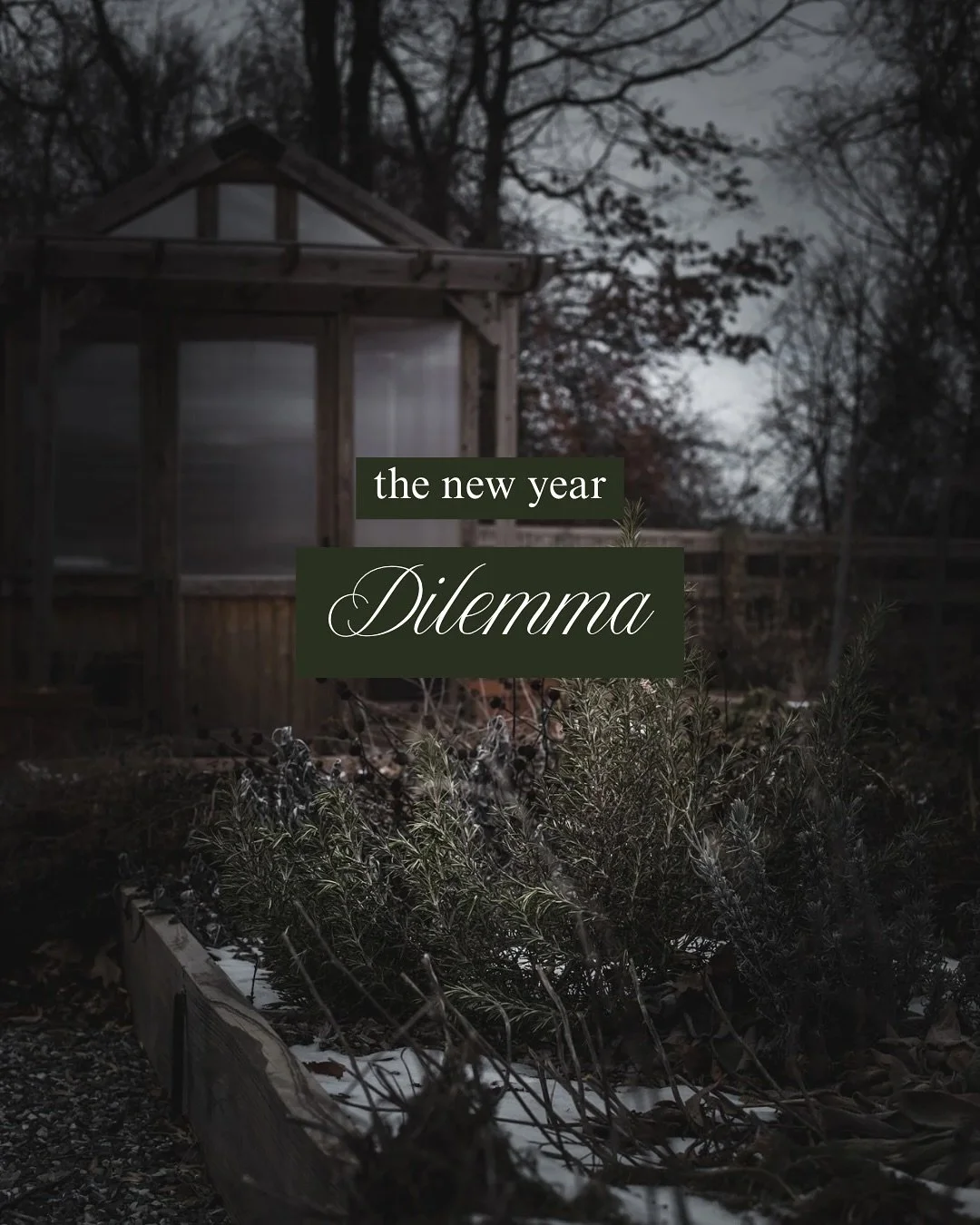 I am so curious to hear your thoughts on this, my friends! Am I off base? God&rsquo;s ways are always best, right? ❤️❤️

To be clear, I&rsquo;m not saying you shouldn&rsquo;t be intentional. I&rsquo;m going to share how we approach this winter season