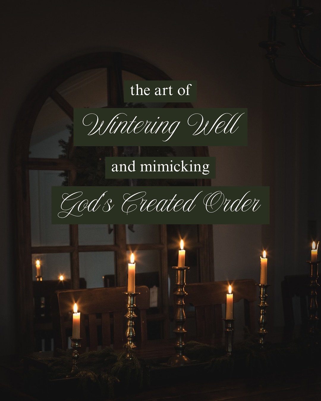 Mimicking God&rsquo;s design in creation, winter is the time to soften, slow, rest, and nurture. During this season, the nervous system decelerates, hormones shift, energy turns inward. We would be wise to steward this season in alignment with our ph