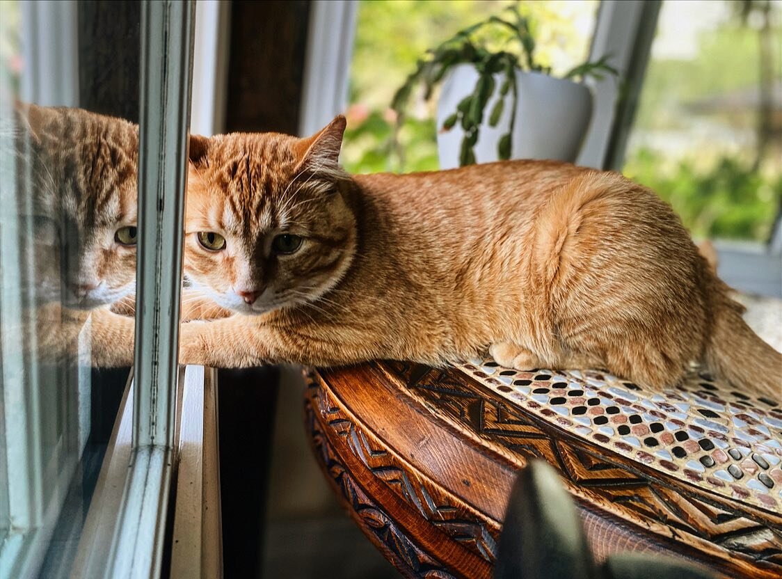 When will my reflection show who I am inside?