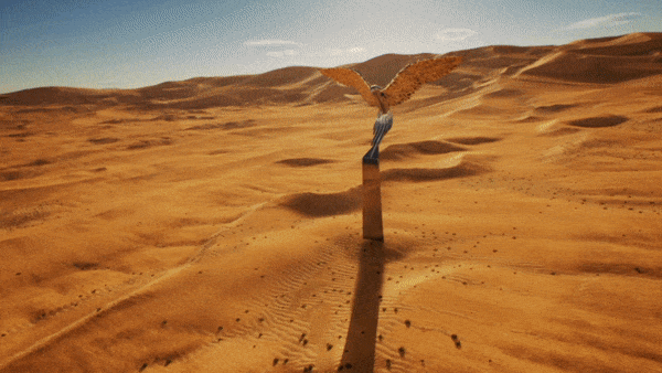 ezgif.com-optimize (5).gif