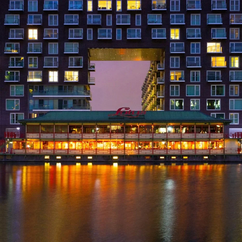 Print Sale and Day 17 of my Isle of Dogs Project