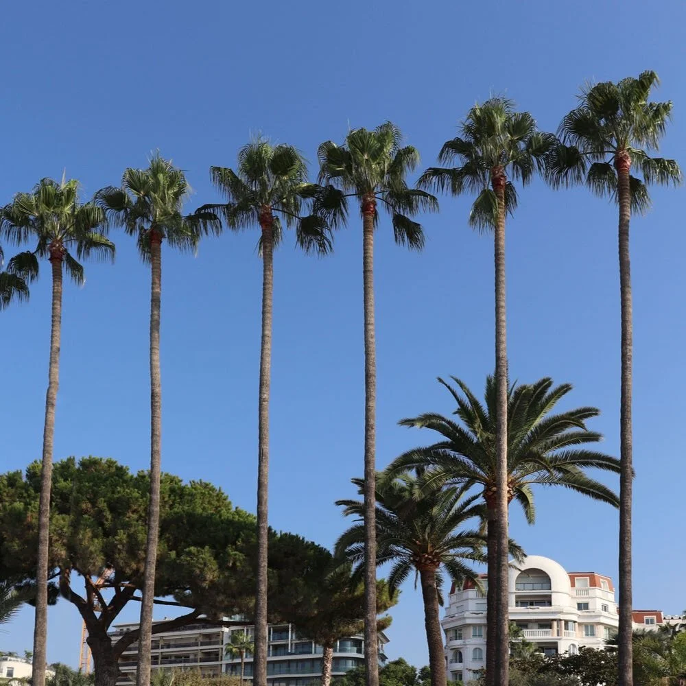 My TOP 10 business lessons learned during lockdown