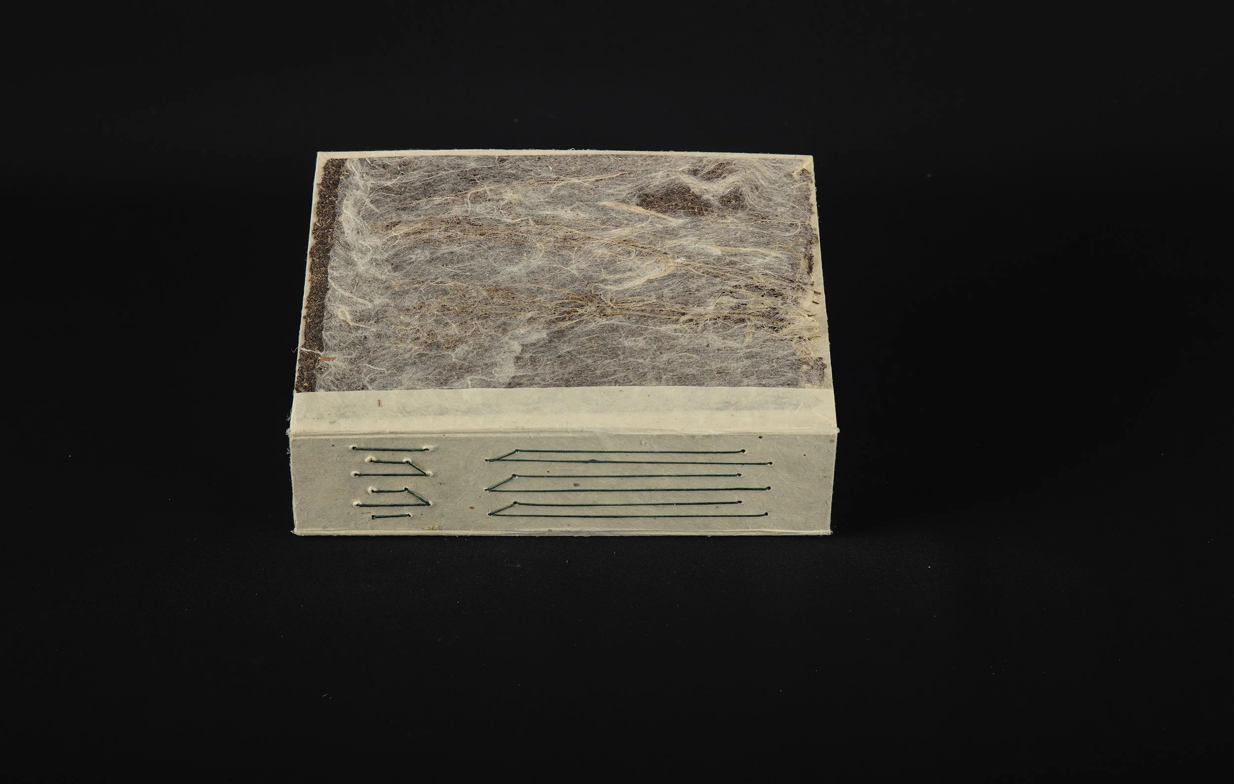 HaystackBotanicalSpecimenBook00020.jpg