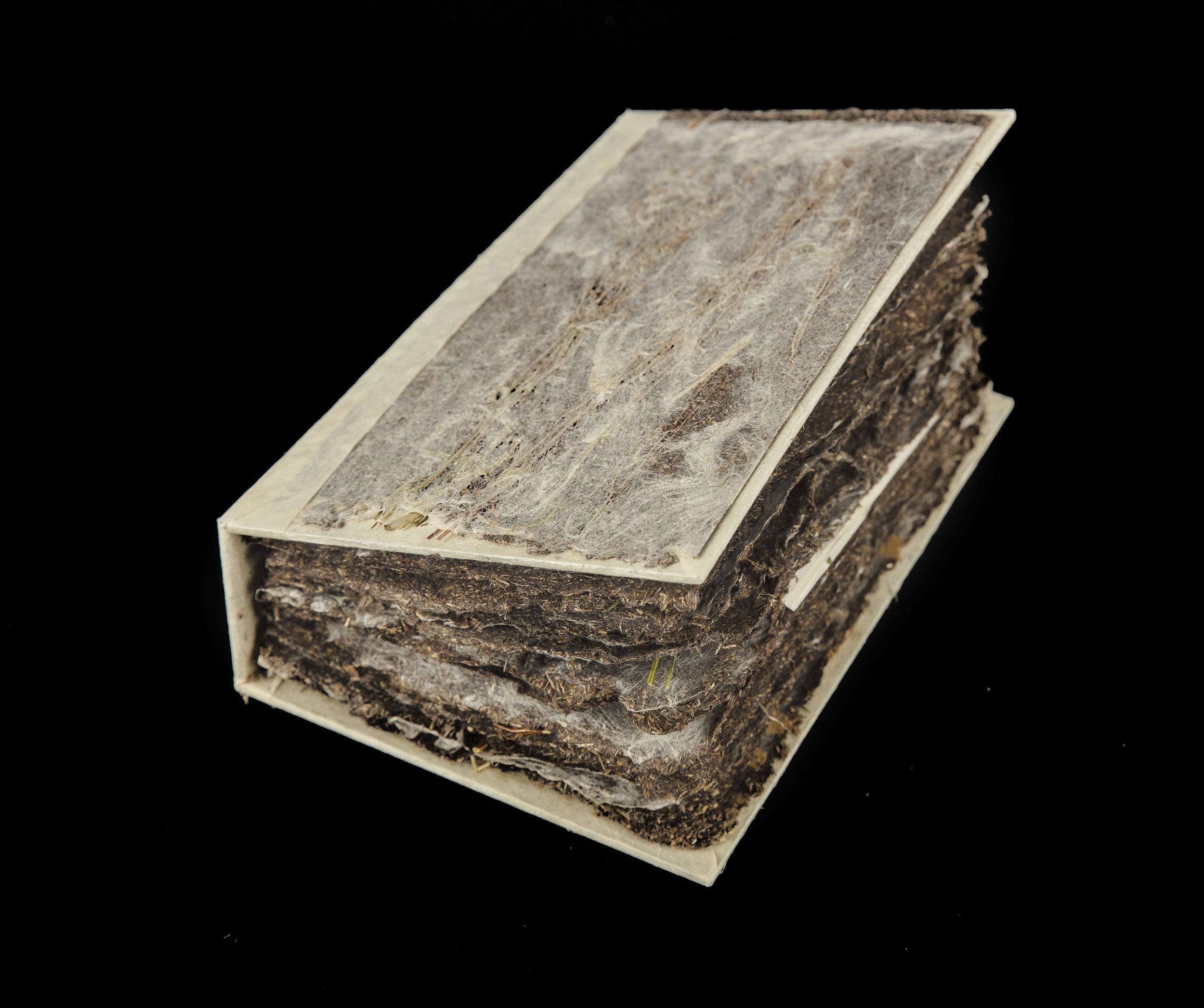 HaystackBotanicalSpecimenBook00021.jpg