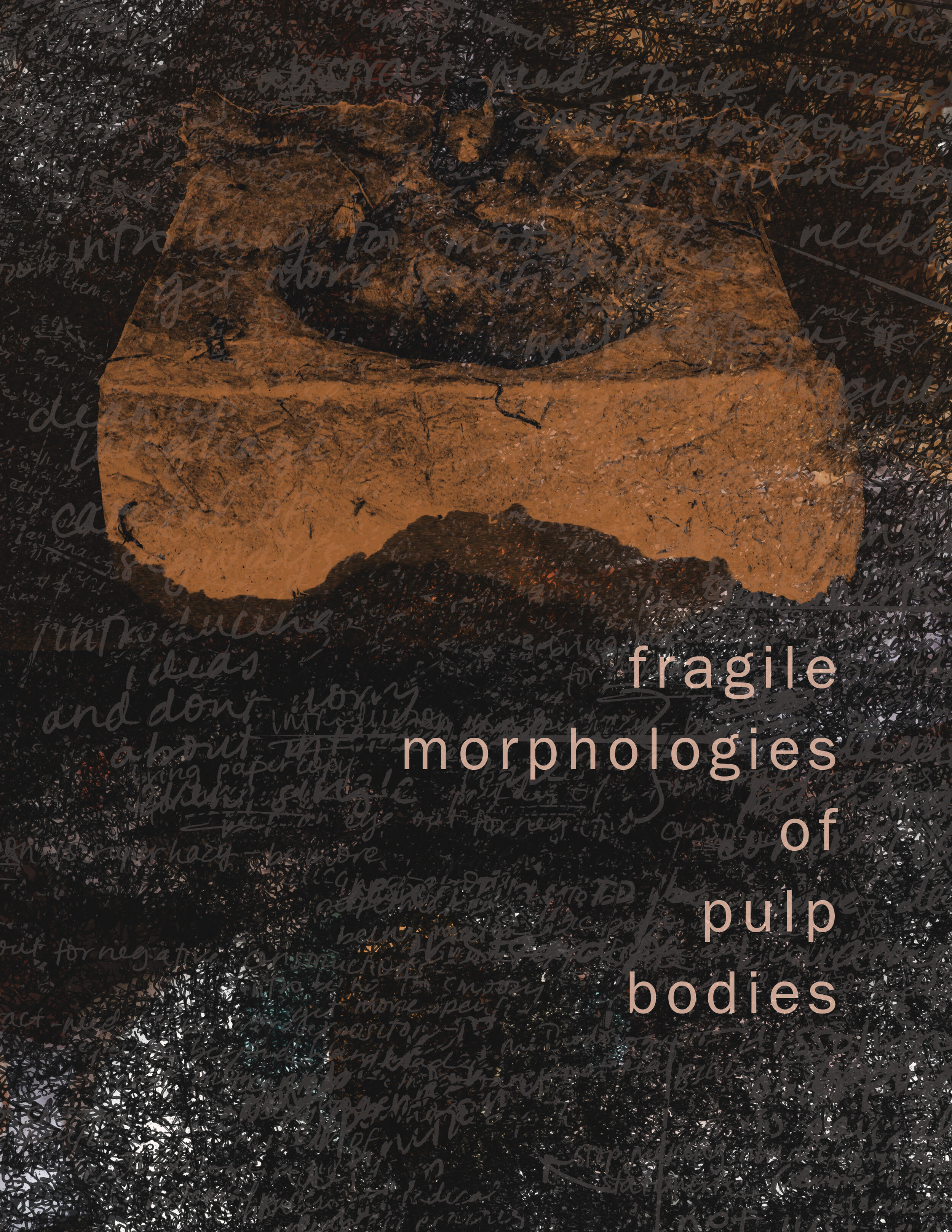 FragileMorph_bookimagecover.jpg