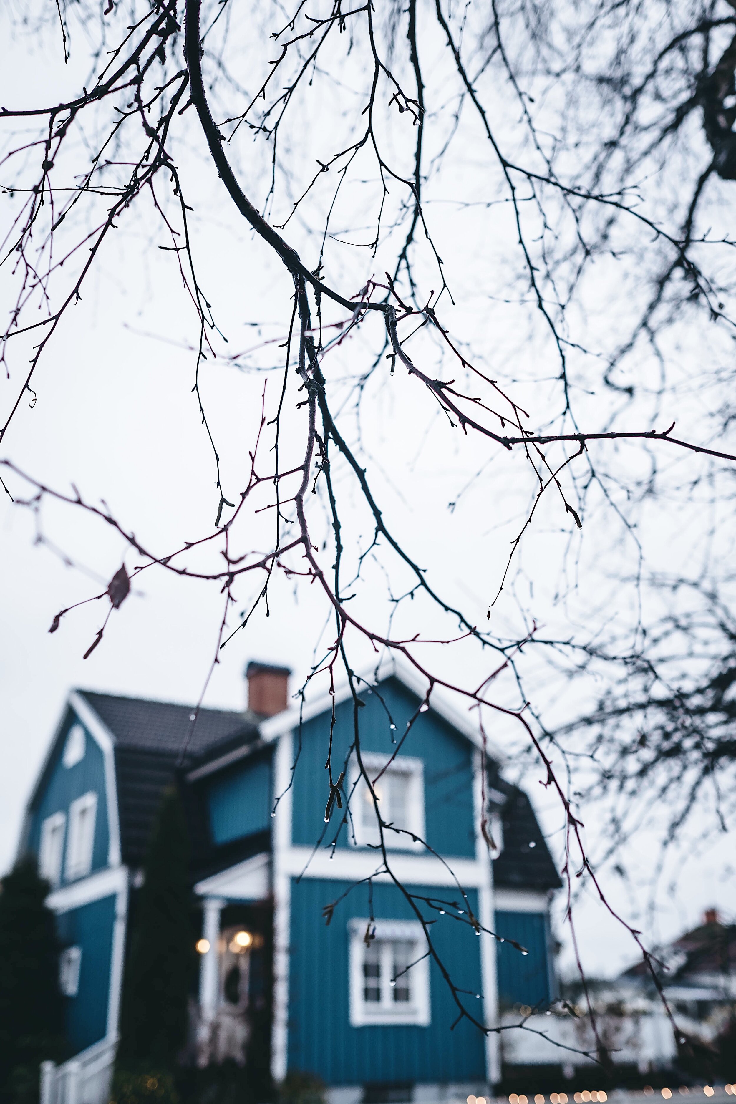 BCF01448-3CF4-48FD-AF6A-6675F9A16D9F.jpeg
