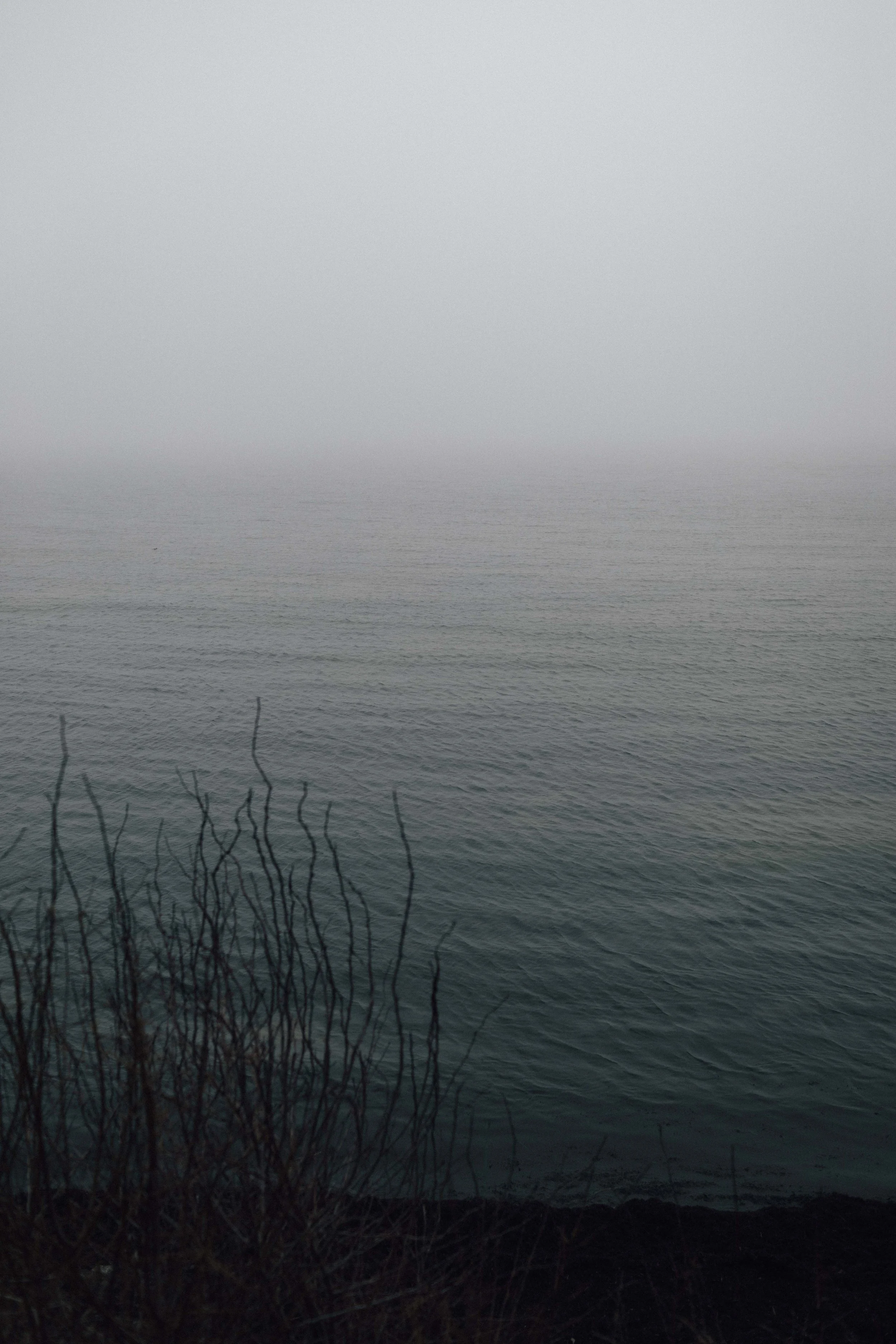 156A6329.jpg