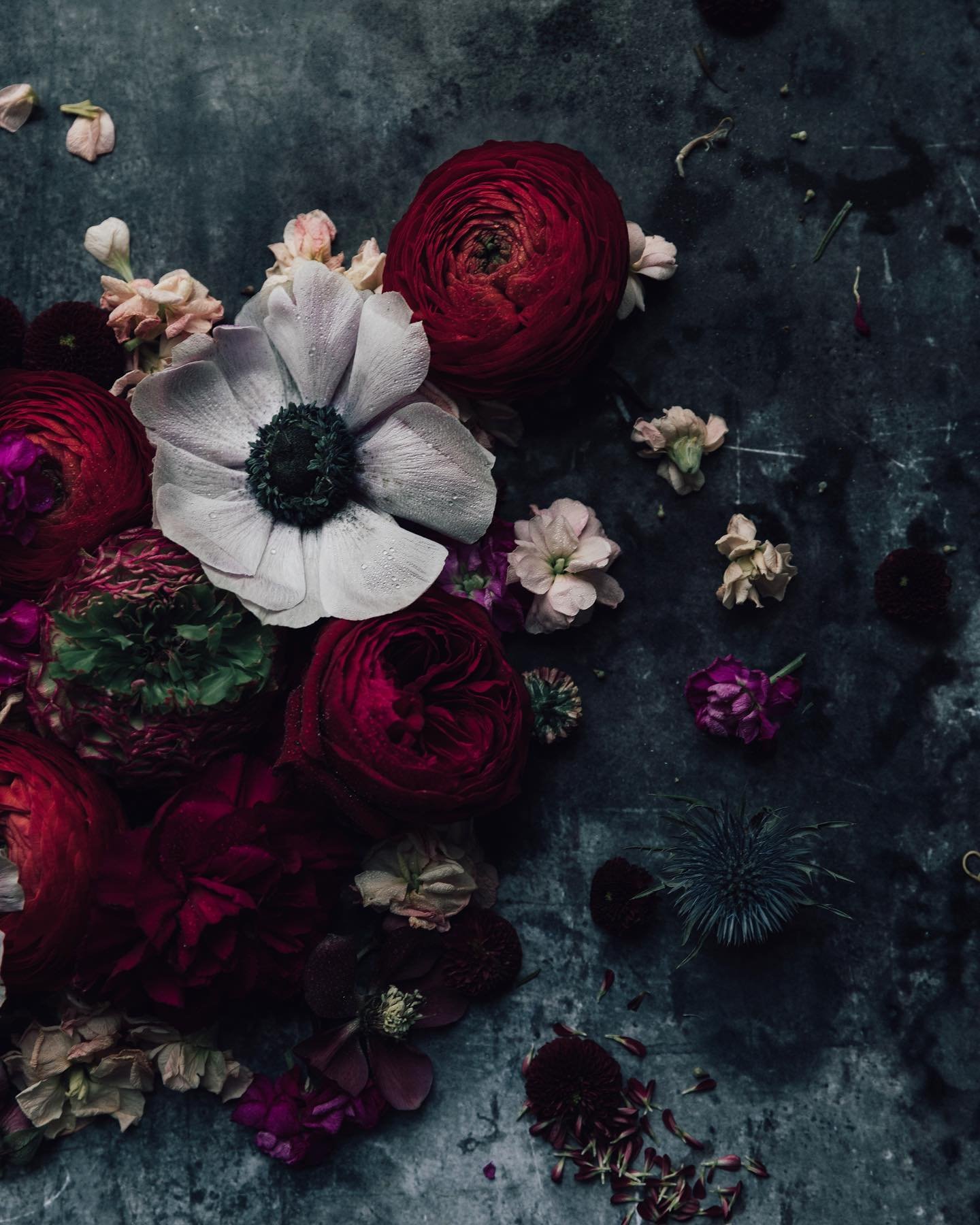 A little play with flowers I did a while ago 🤍 

. 
.
.
.

#thedarkandmoodyedit 
 #thebeautyinspring #lavieestpo&eacute;sie #awakethesoul  #lookslikefilm #dearphotographer #thegentlemanifesto #magic_in_the_details #brusselsphotographer #lavieestpo&e