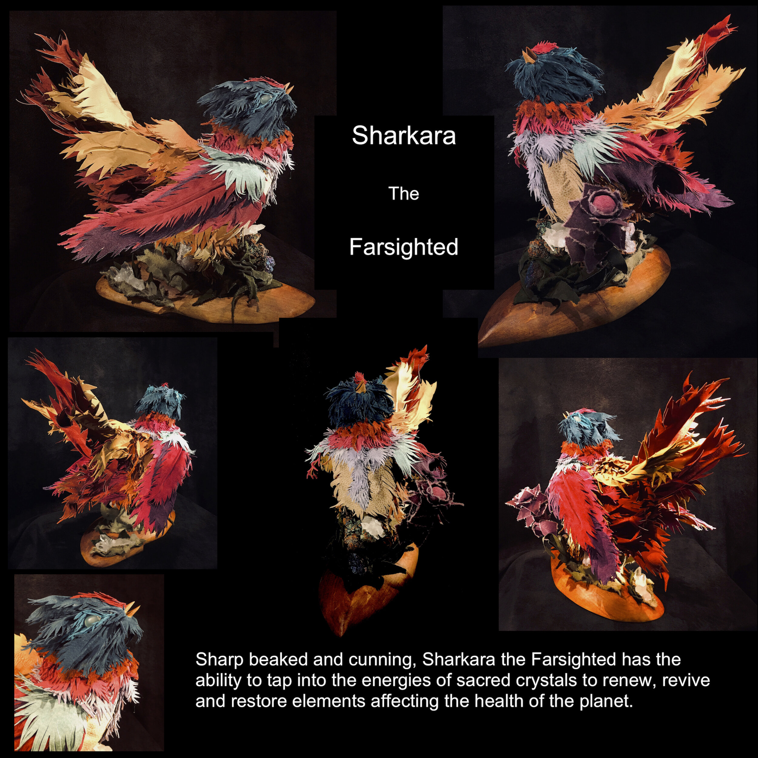 Sharkara the Farsighted