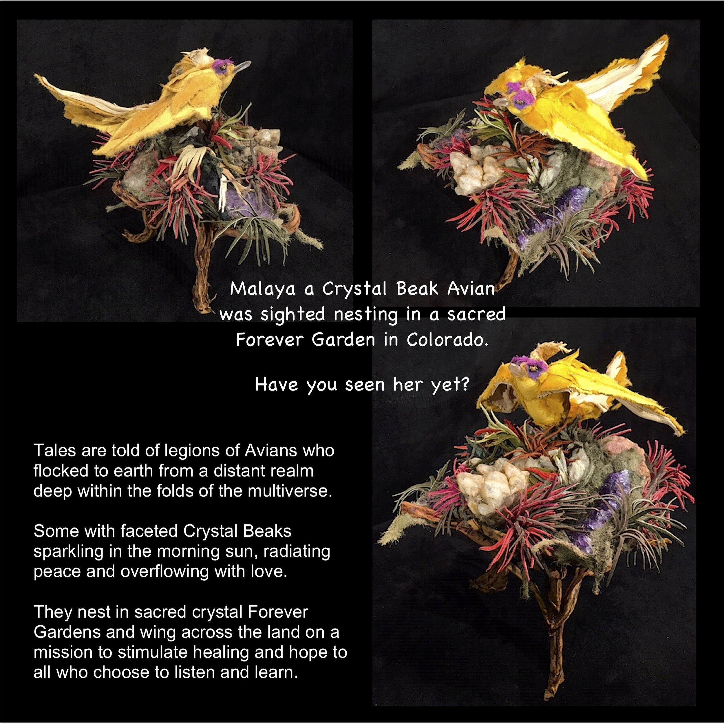 Malaya - A Crystal Beak Avian