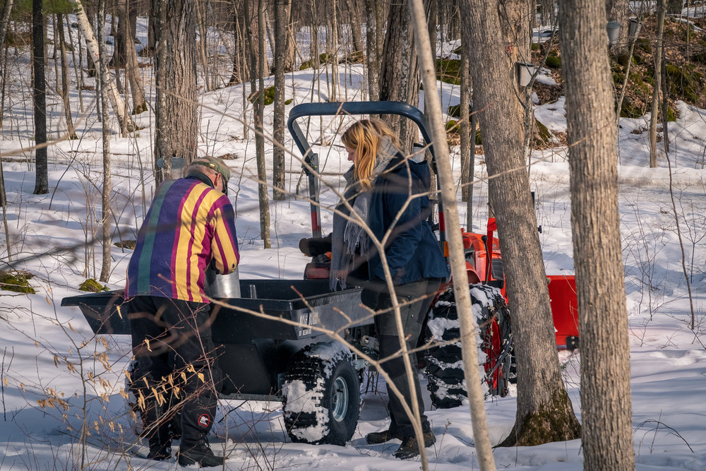 Sugarbush