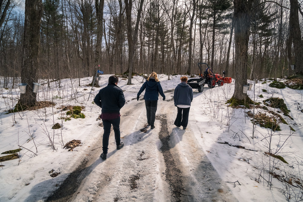 Sugarbush