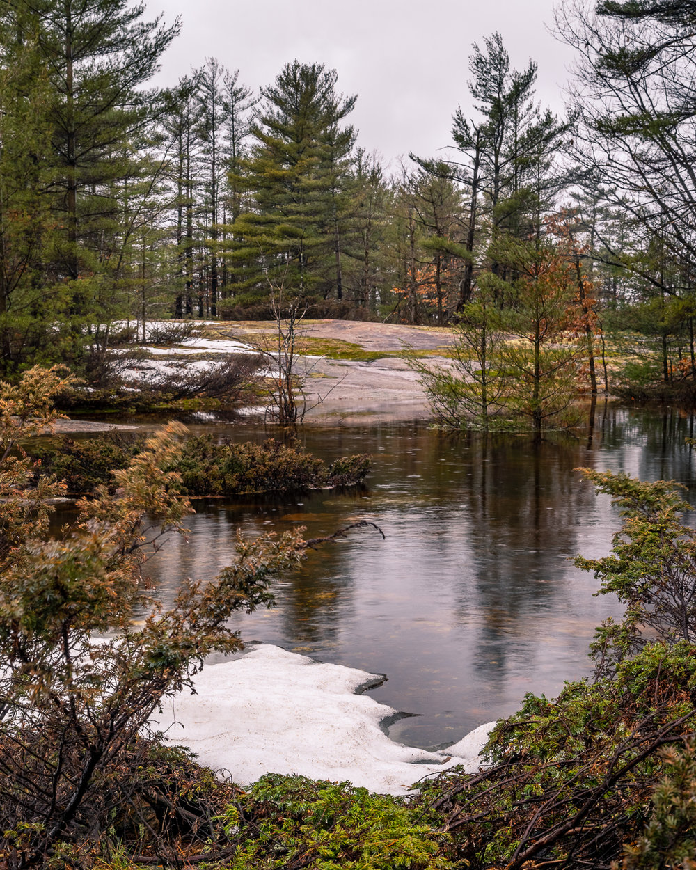 SpringRainInMuskoka-00764.jpg