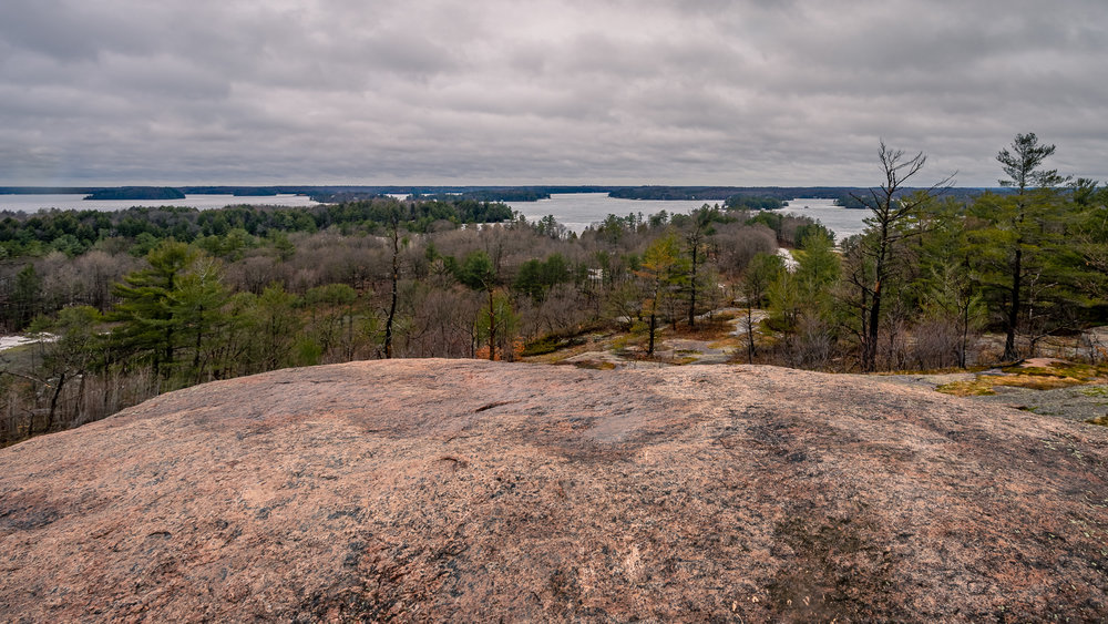 SpringRainInMuskoka-00865.jpg